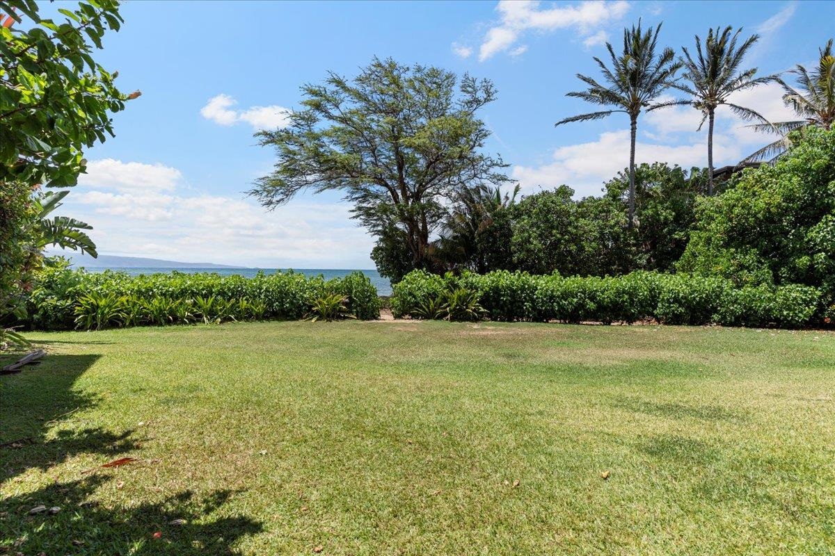 Kahana Village condo # 37, Lahaina, Hawaii - photo 50 of 50