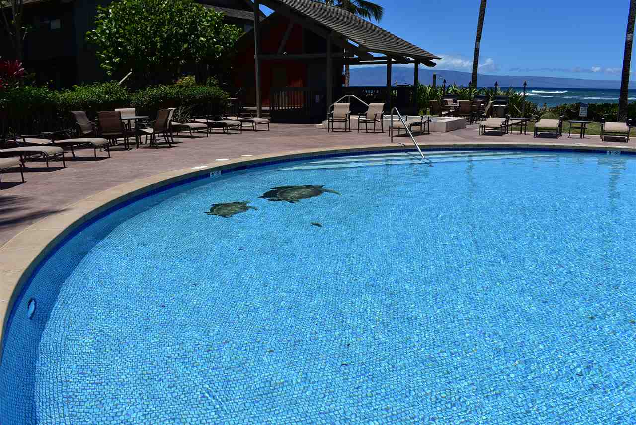 Kahana Village condo # 41, Lahaina, Hawaii - photo 12 of 30
