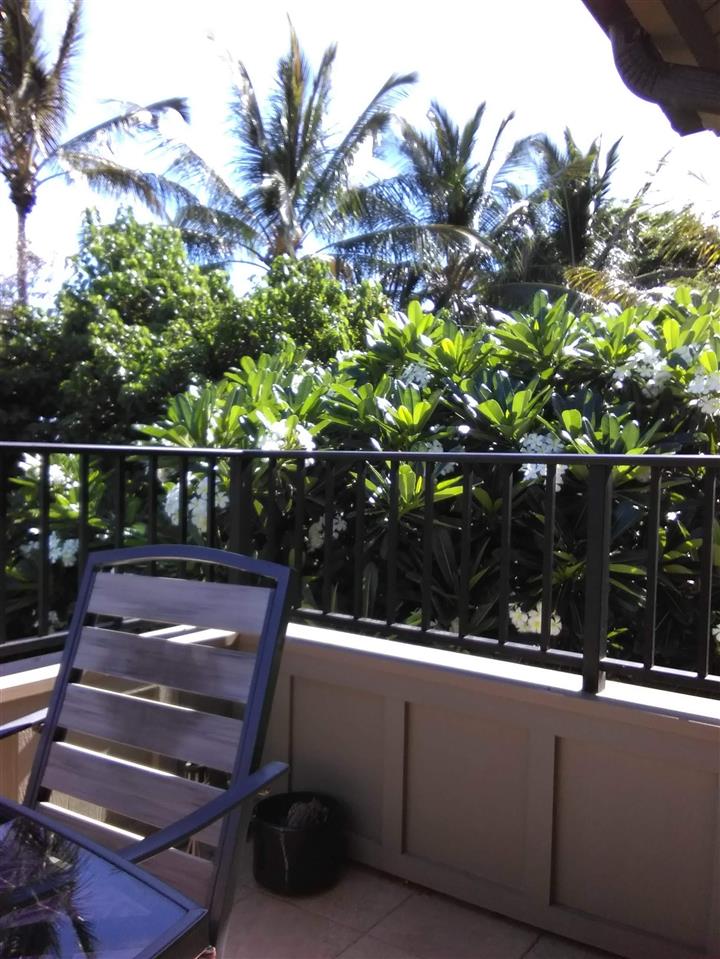 Kahana Village condo # 41, Lahaina, Hawaii - photo 14 of 30