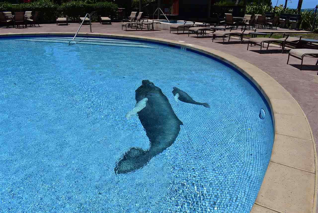 Kahana Village condo # 41, Lahaina, Hawaii - photo 4 of 30