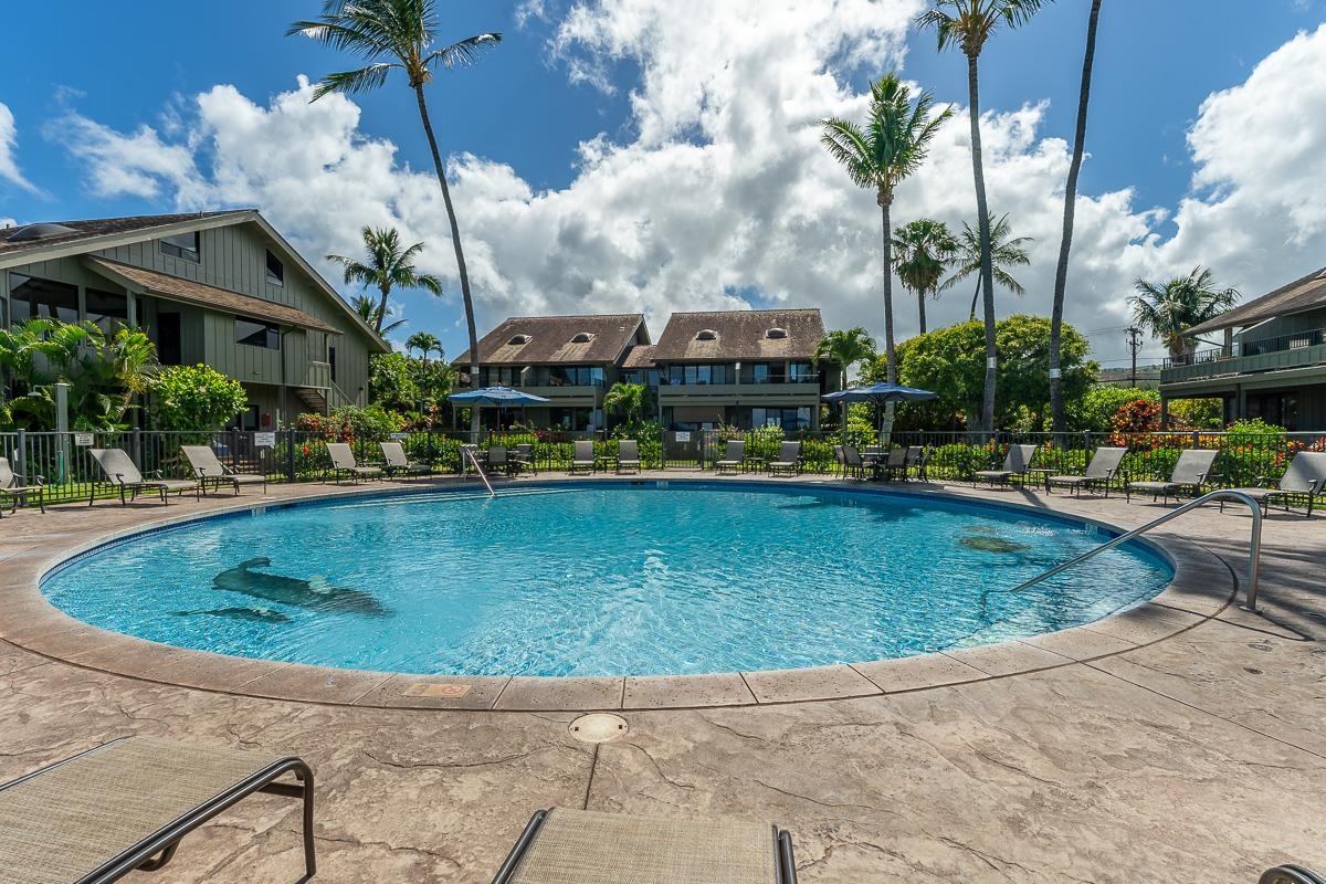 Kahana Village condo # 4 (1B3), Lahaina, Hawaii - photo 43 of 47