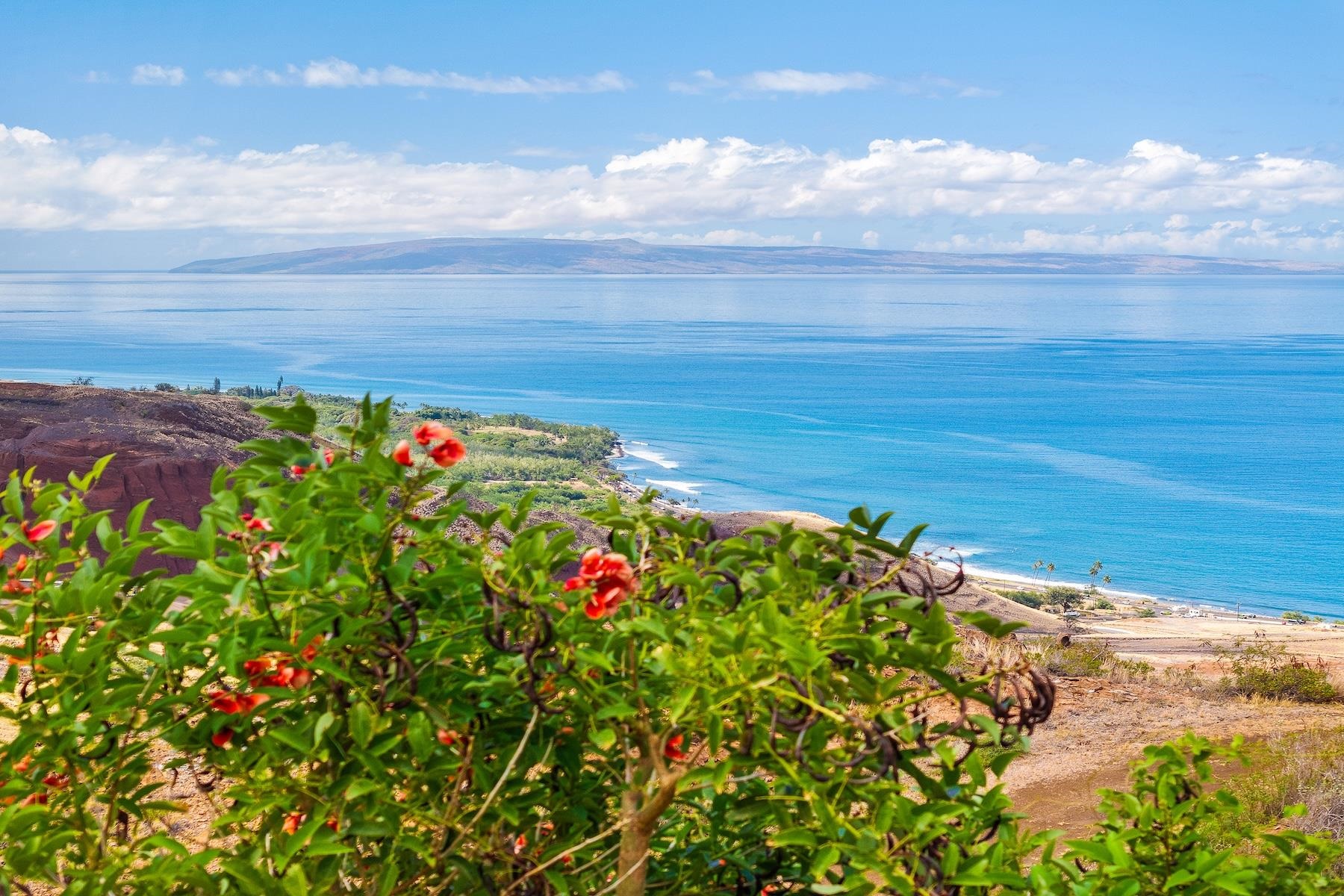 454  Wailau Pl Launiupoko, Lahaina home - photo 34 of 50