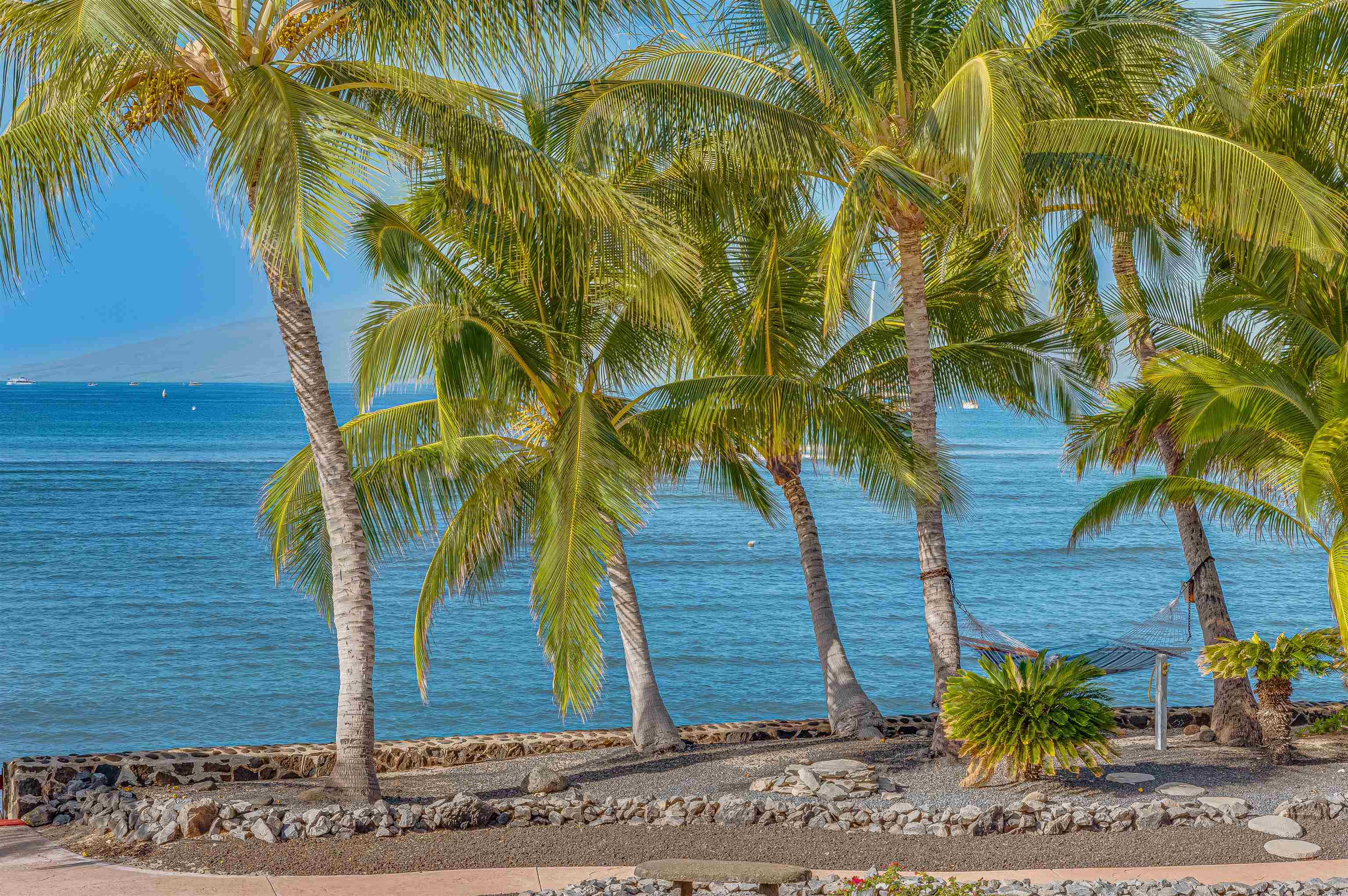455  Front St Puamana/front Street, Lahaina home - photo 7 of 28
