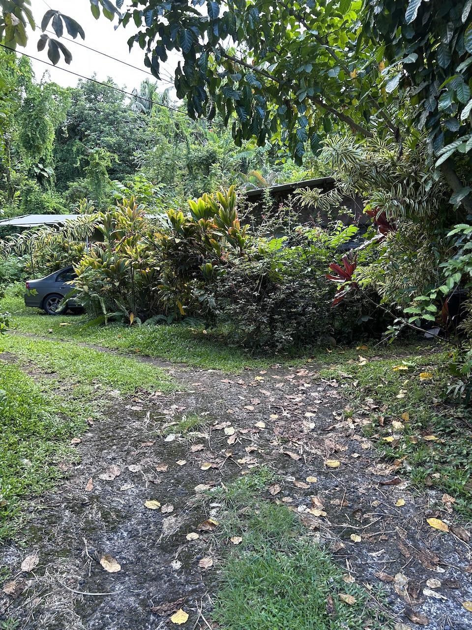 4550  Hana Hwy , Hana home - photo 3 of 12