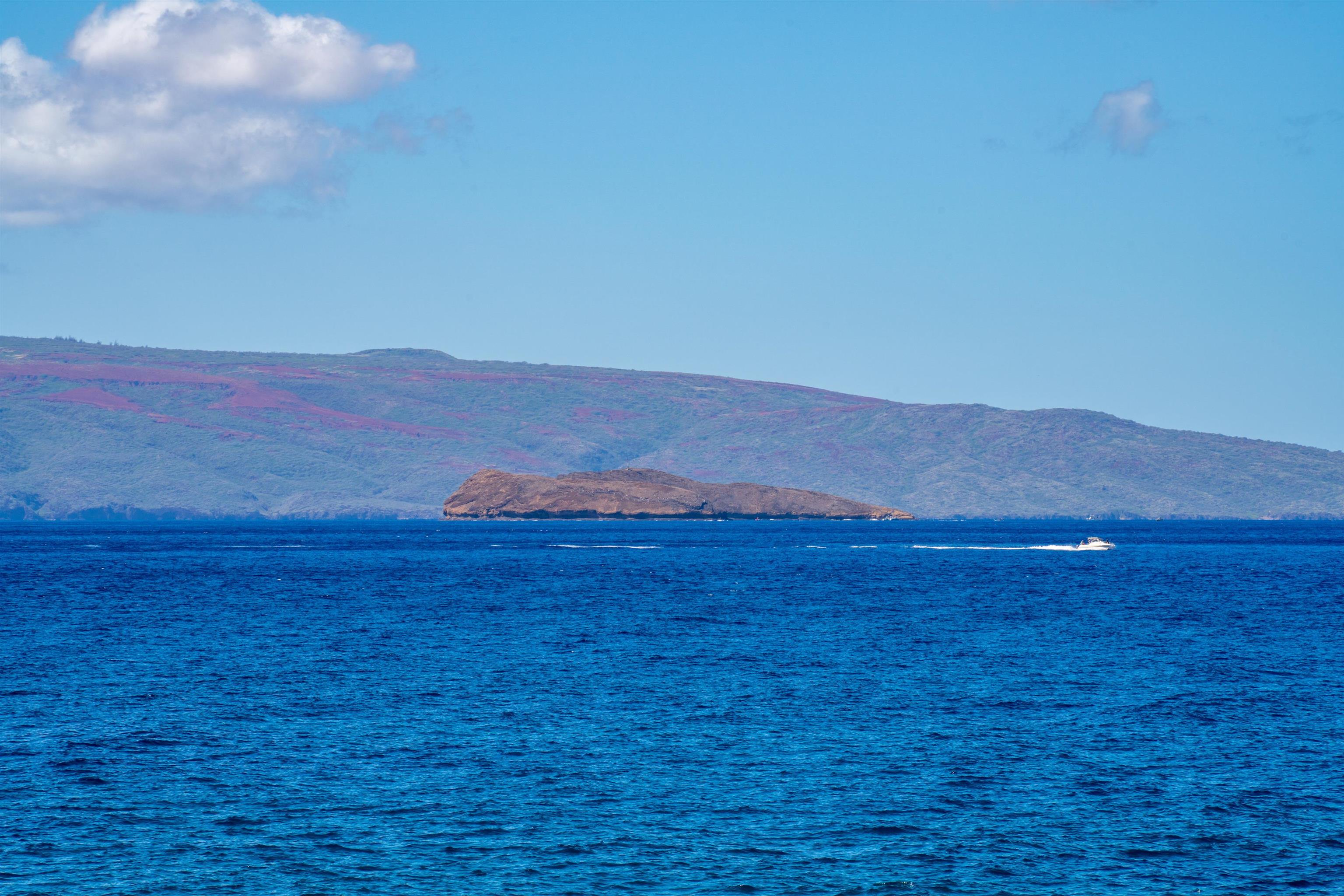 4584  Makena Rd , Wailea/Makena home - photo 11 of 30