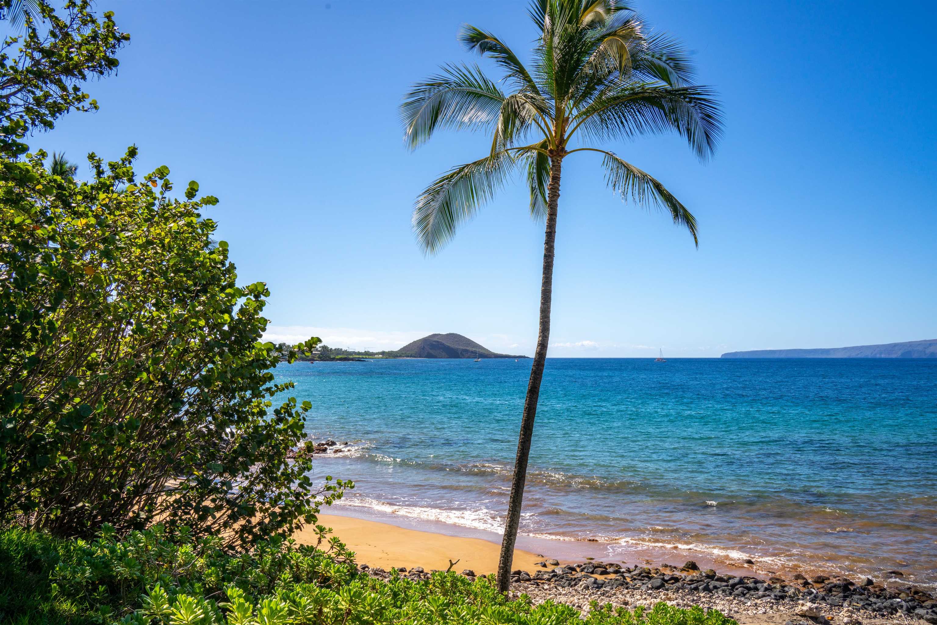 4584  Makena Rd , Wailea/Makena home - photo 12 of 30