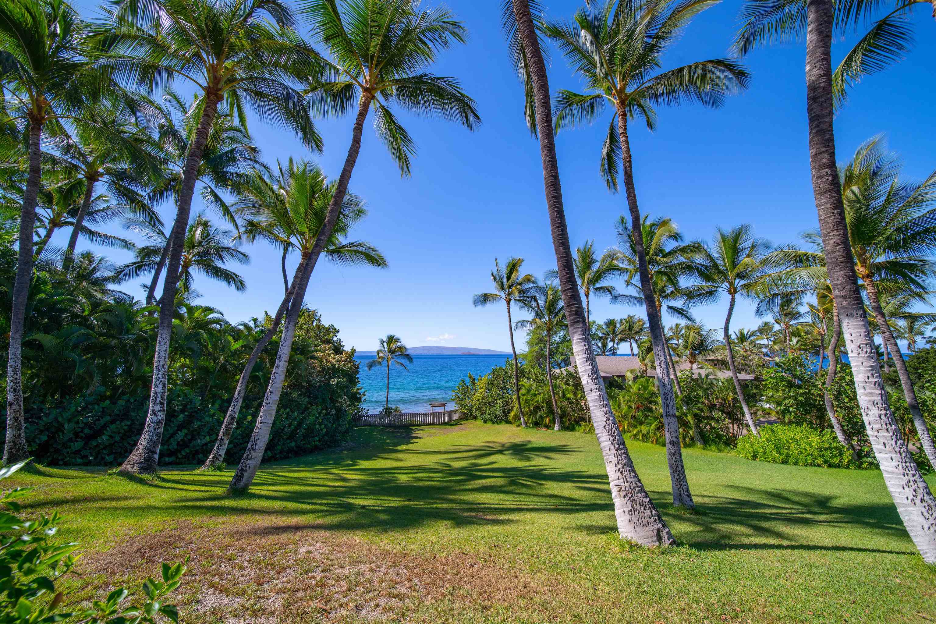 4584  Makena Rd , Wailea/Makena home - photo 9 of 30