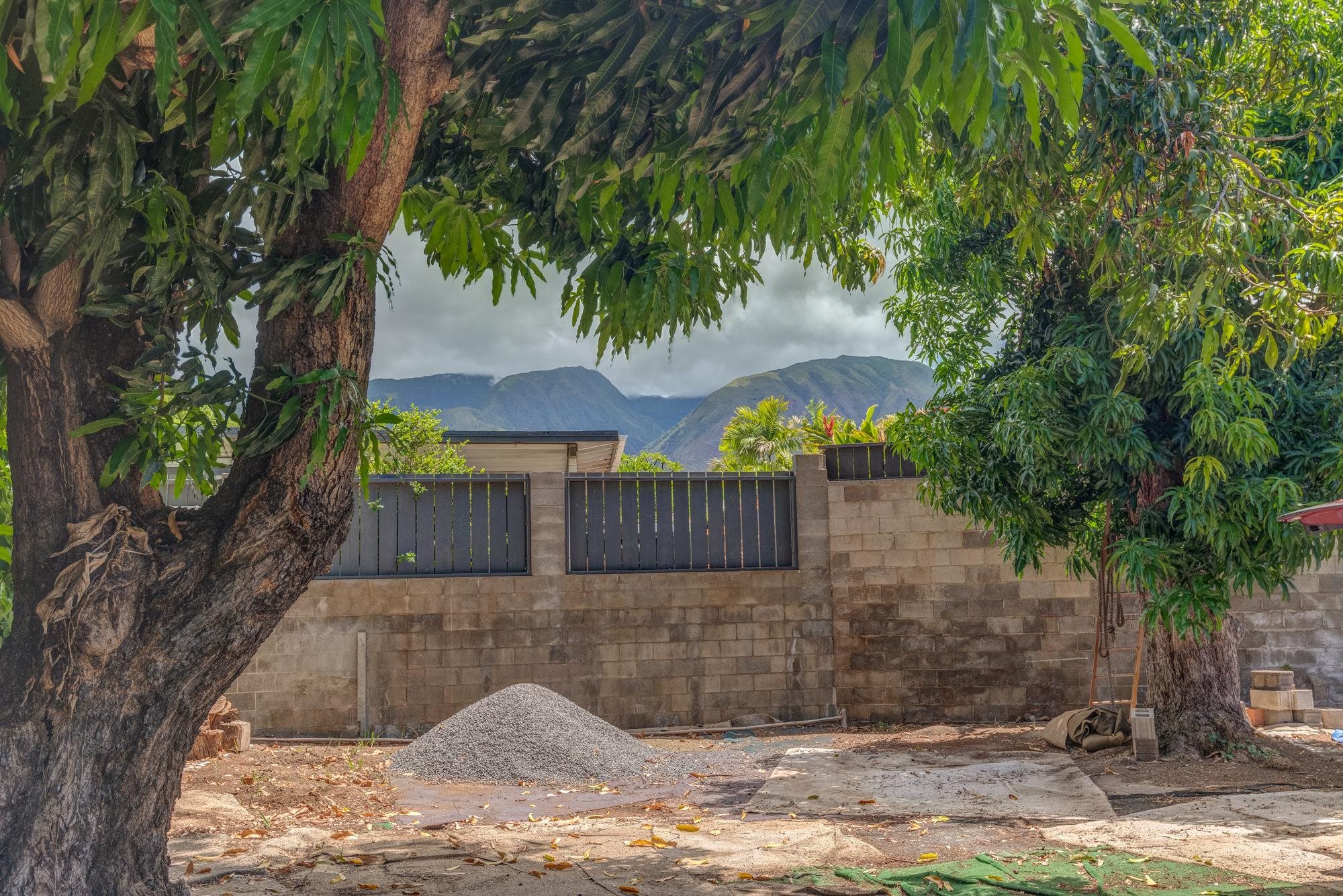 458 C  Front St Shark Pit, Lahaina home - photo 8 of 21