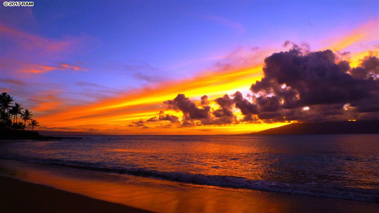 Napili Sunset condo # 206, Lahaina, Hawaii - photo 5 of 26