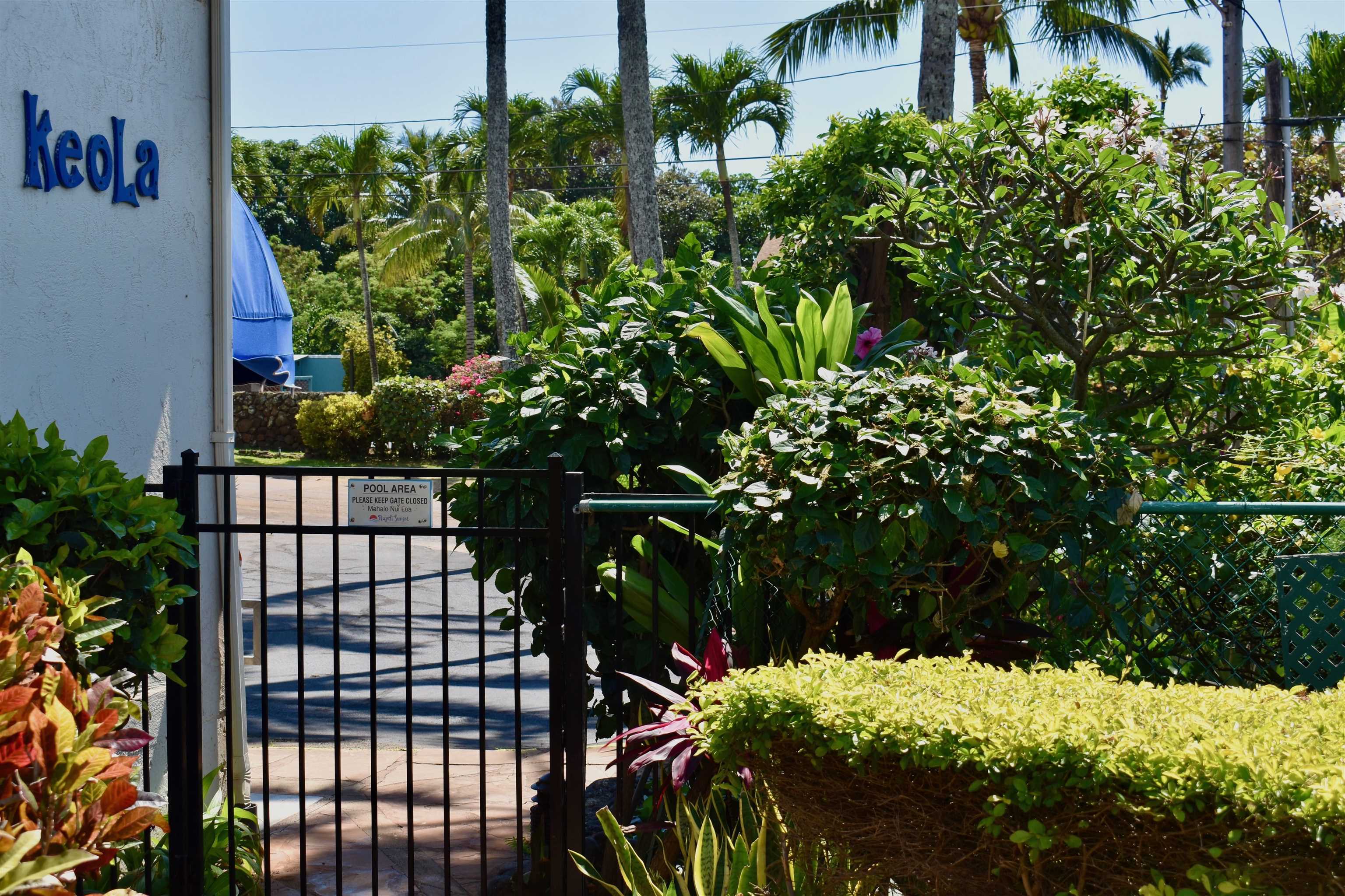 Napili Sunset condo # 206- Keola, Lahaina, Hawaii - photo 25 of 48