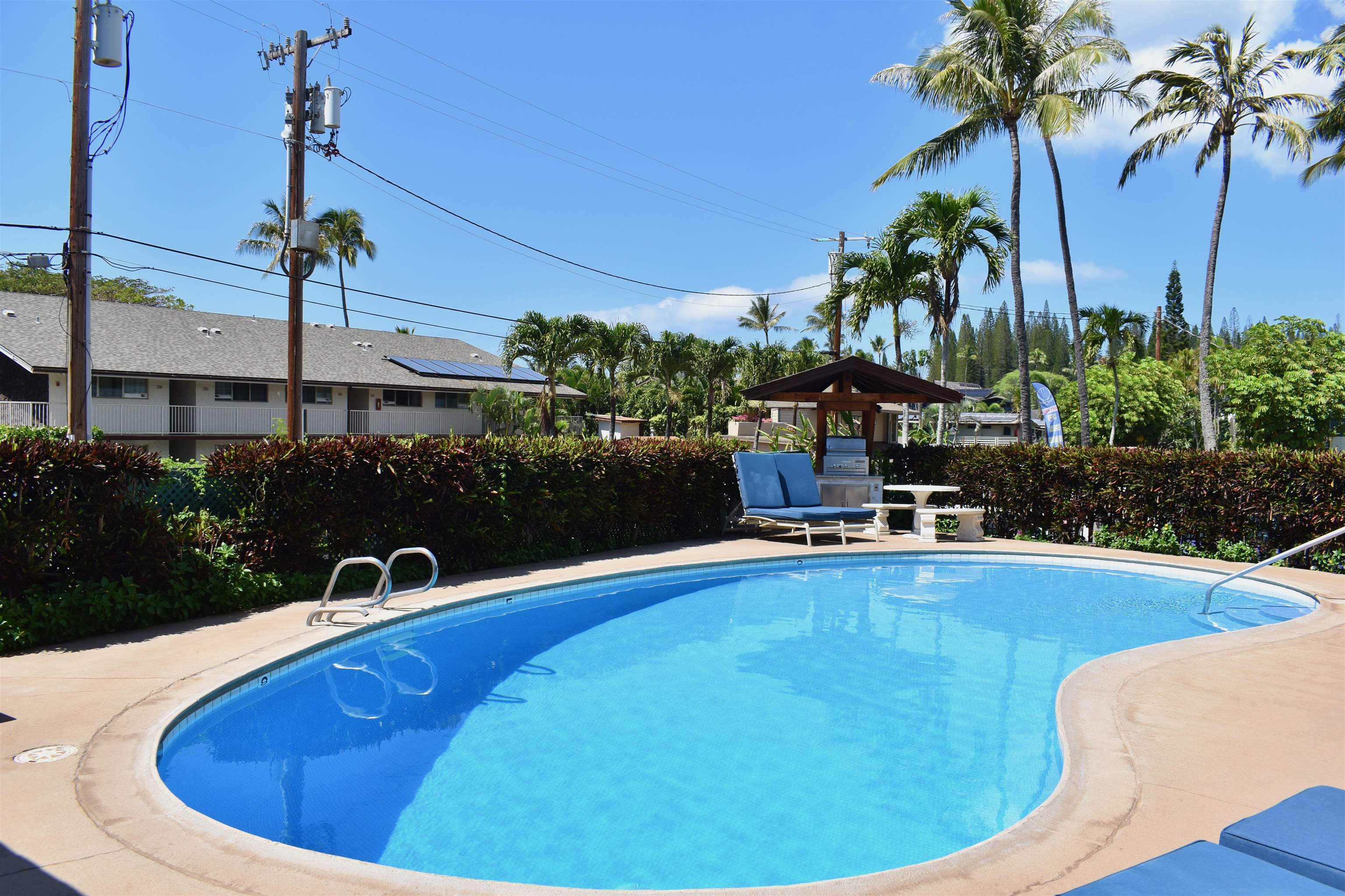 Napili Sunset condo # 206- Keola, Lahaina, Hawaii - photo 28 of 48