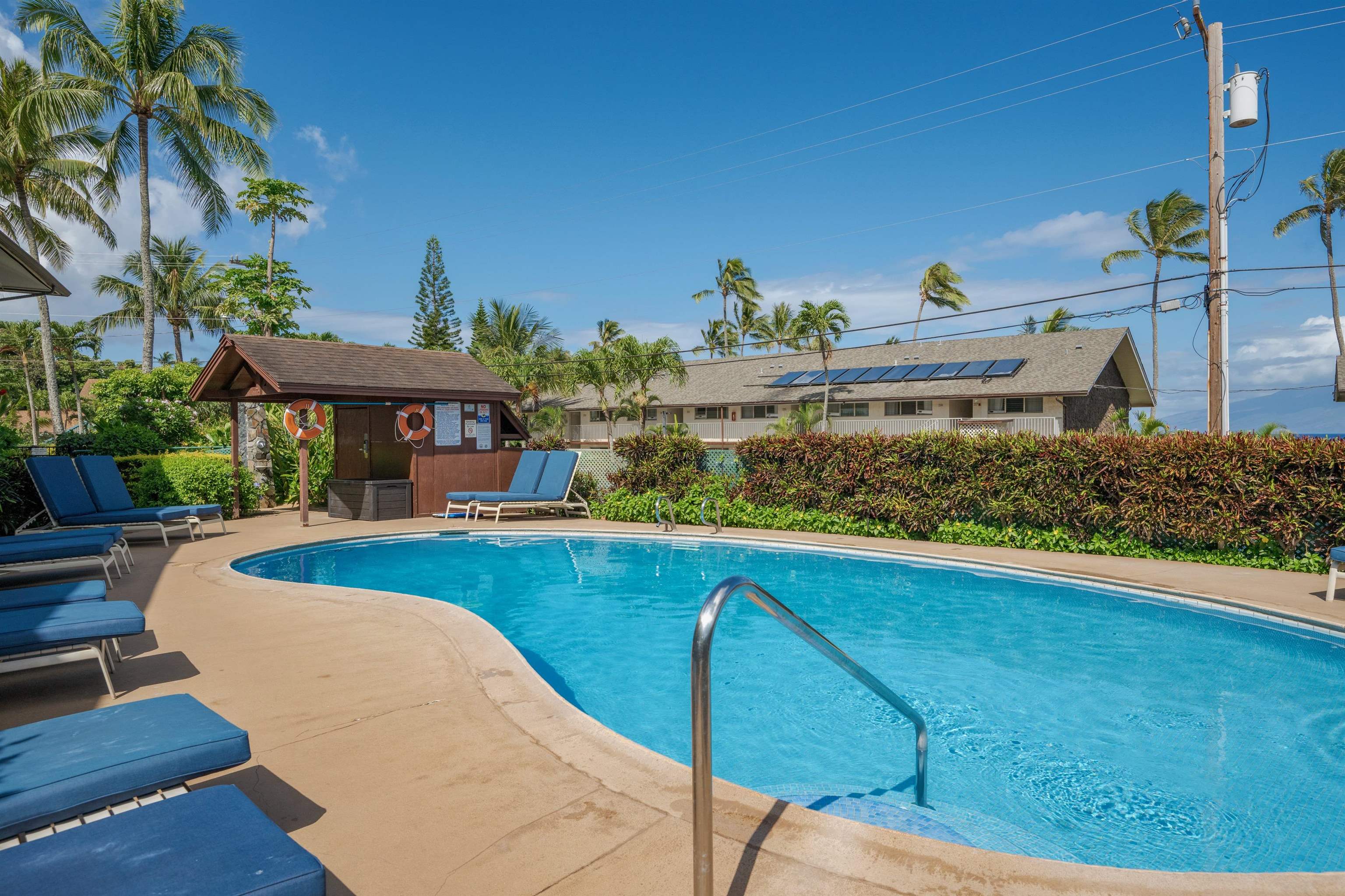 Napili Sunset condo # 206- Keola, Lahaina, Hawaii - photo 29 of 48