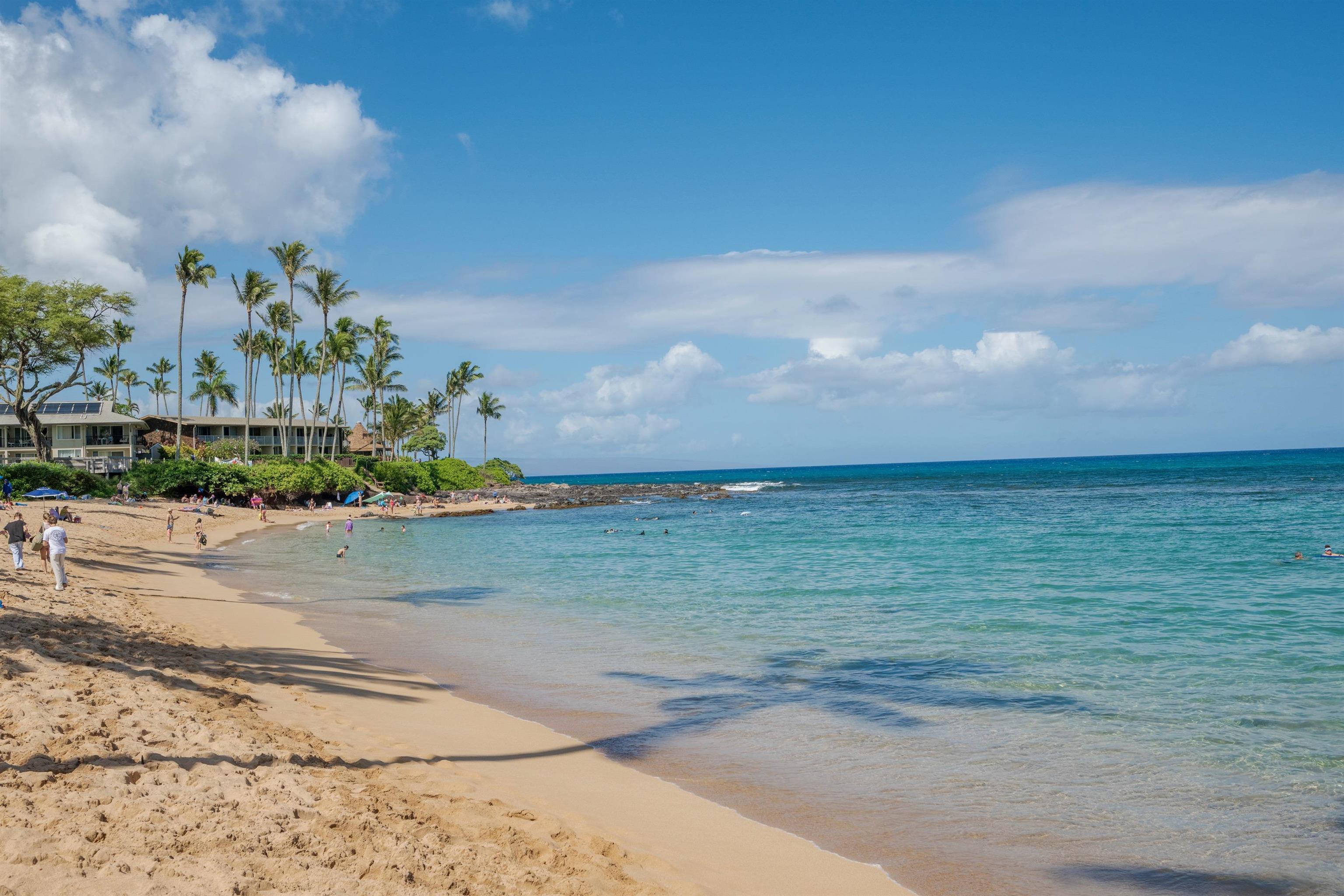Napili Sunset condo # 206- Keola, Lahaina, Hawaii - photo 35 of 48