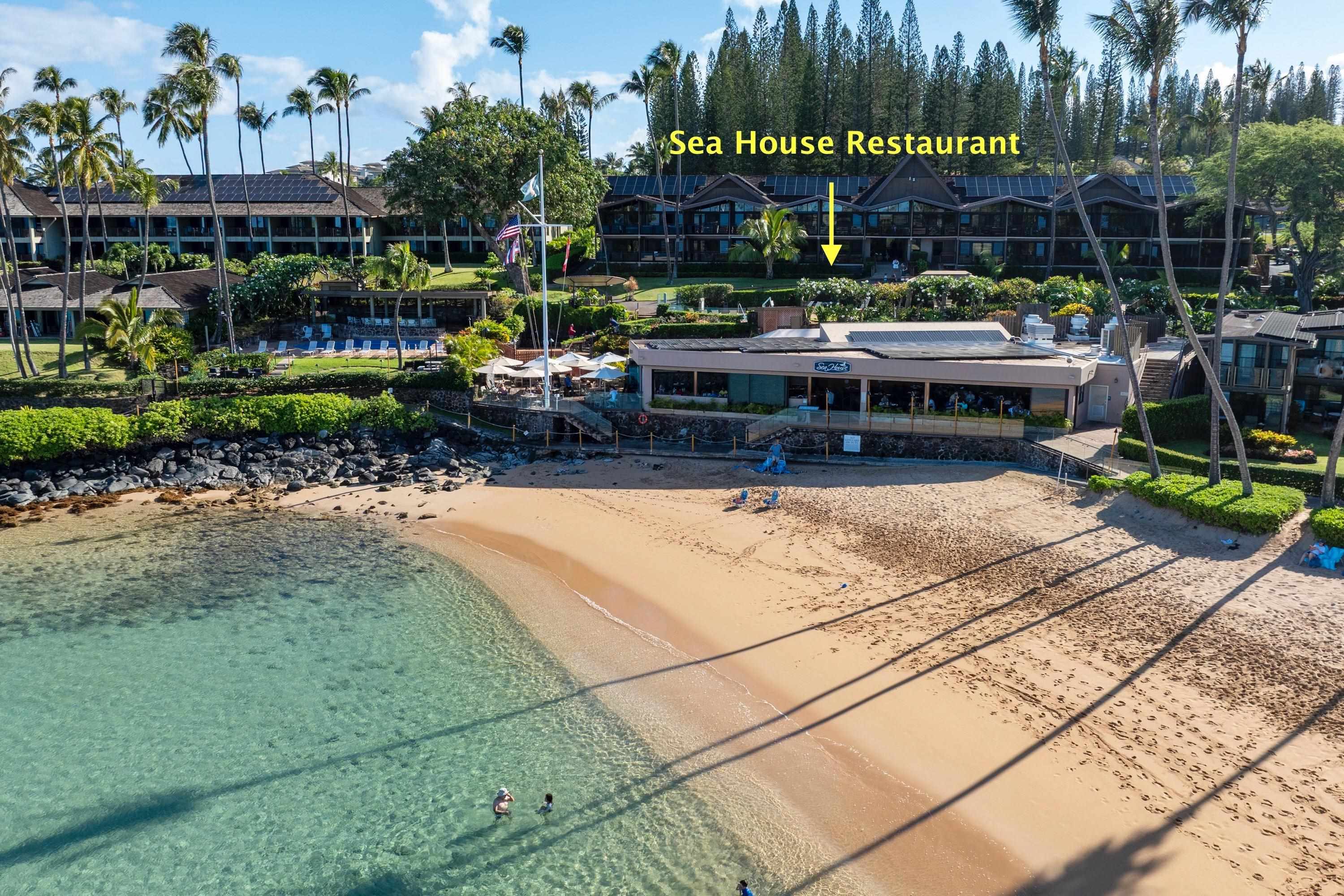 Napili Sunset condo # 206- Keola, Lahaina, Hawaii - photo 40 of 48