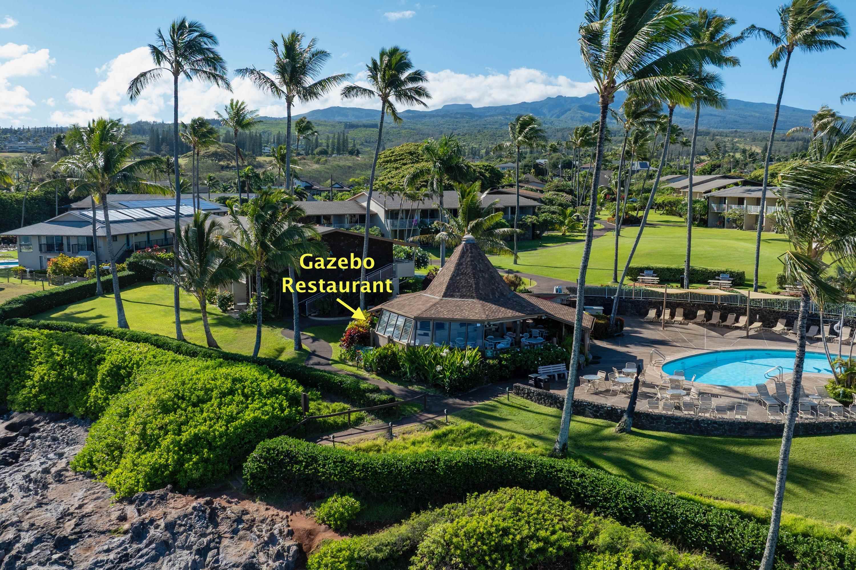 Napili Sunset condo # 206- Keola, Lahaina, Hawaii - photo 41 of 48