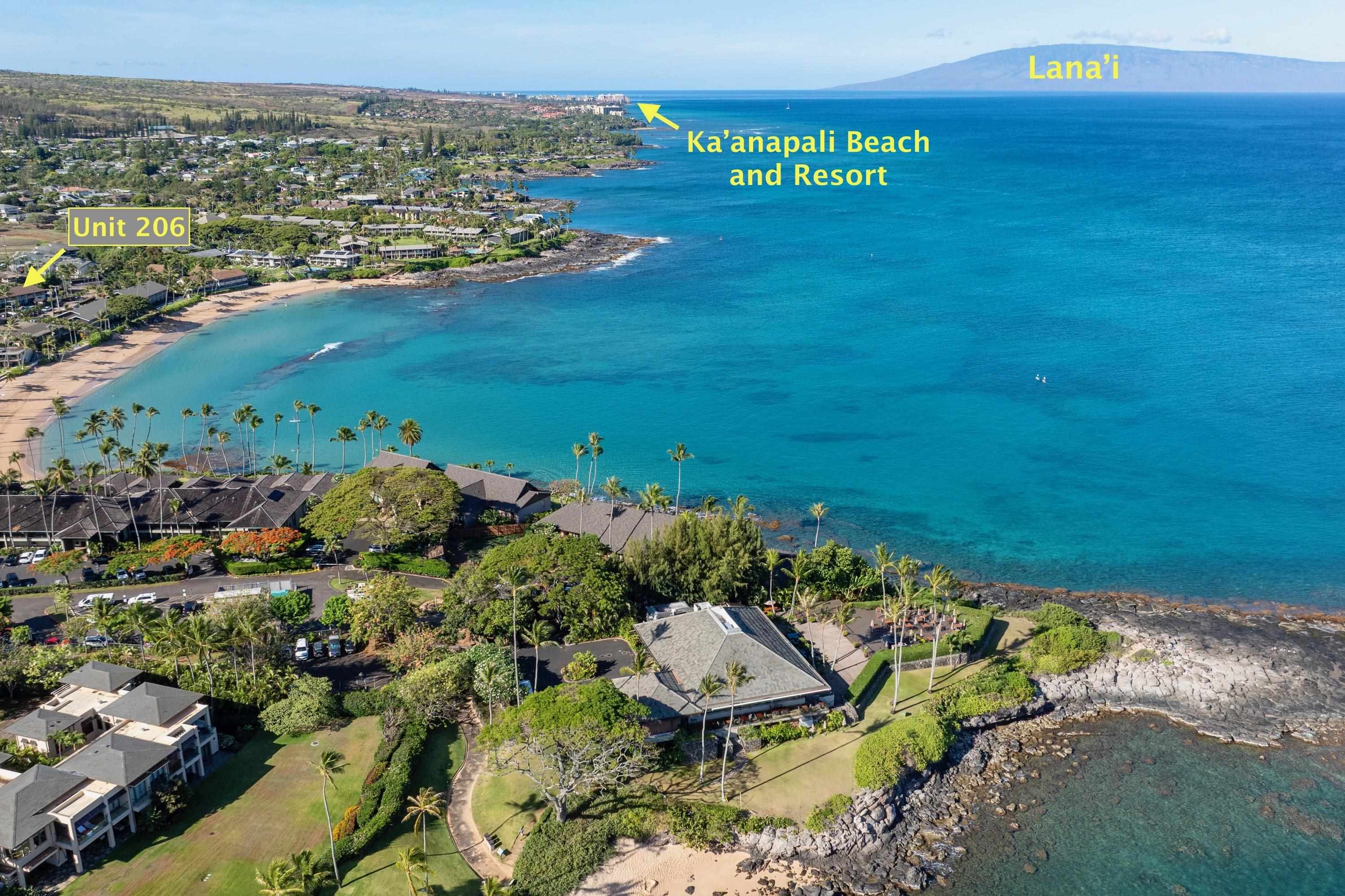 Napili Sunset condo # 206- Keola, Lahaina, Hawaii - photo 42 of 48