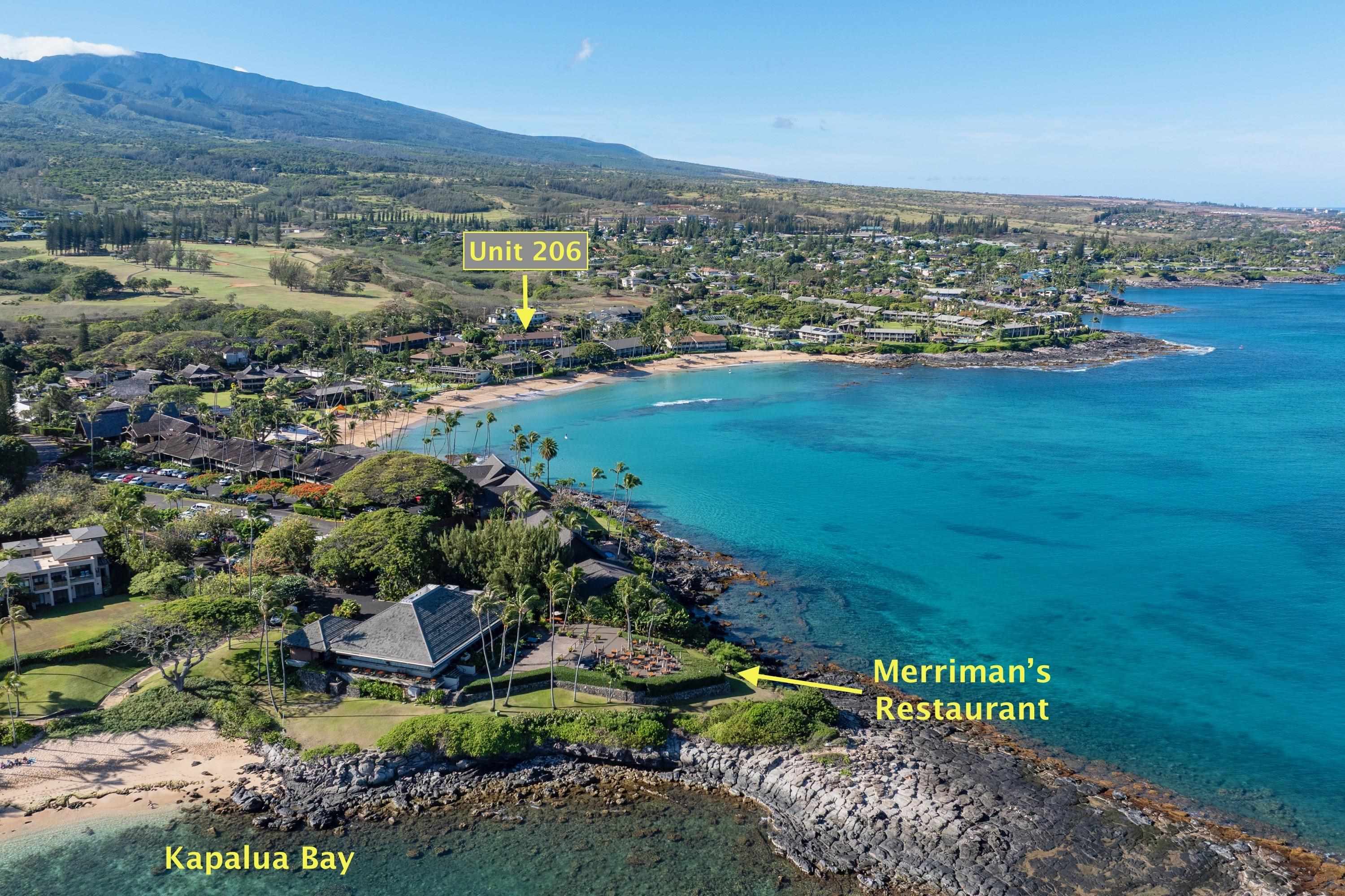 Napili Sunset condo # 206- Keola, Lahaina, Hawaii - photo 43 of 48