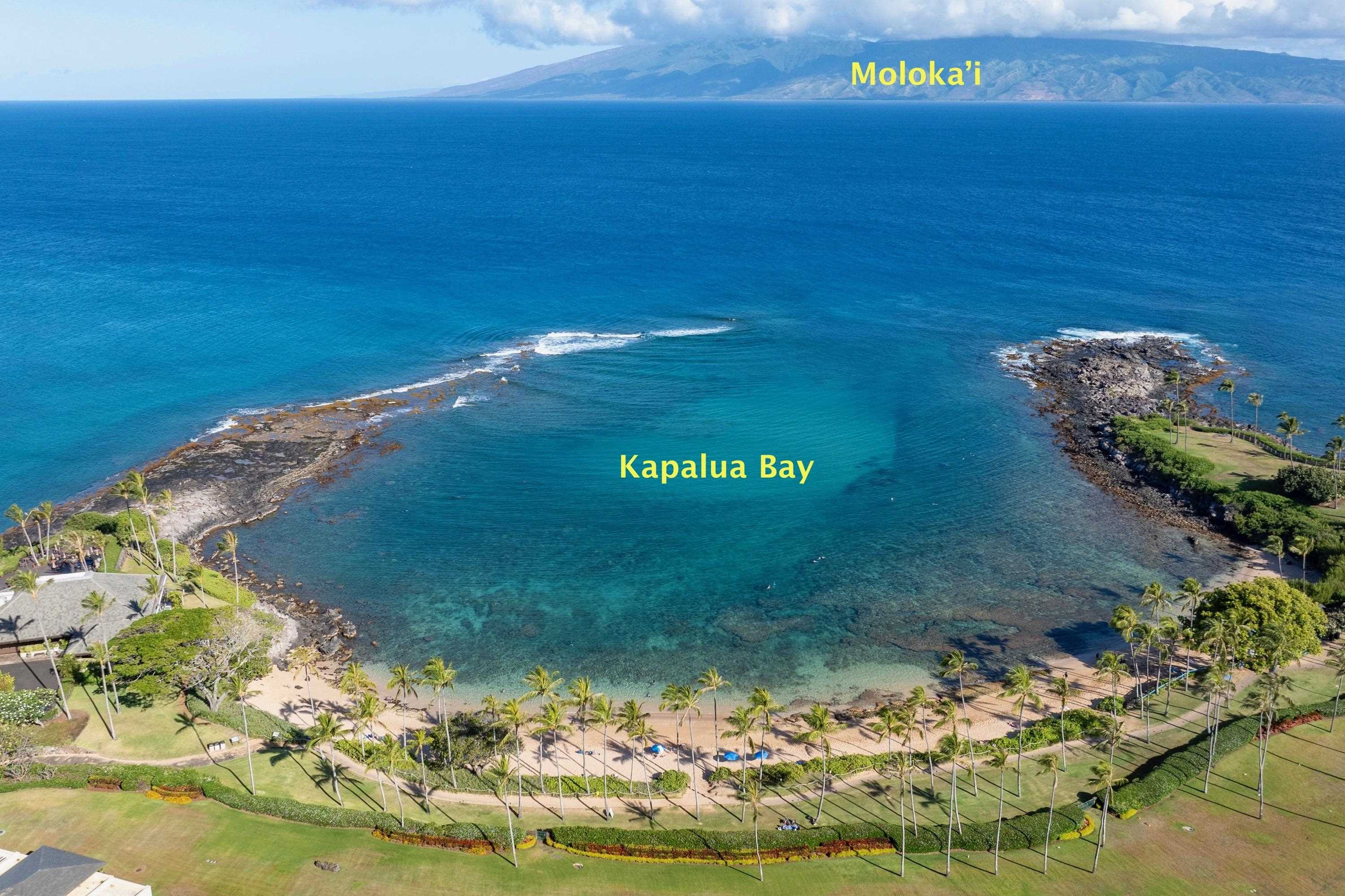 Napili Sunset condo # 206- Keola, Lahaina, Hawaii - photo 44 of 48