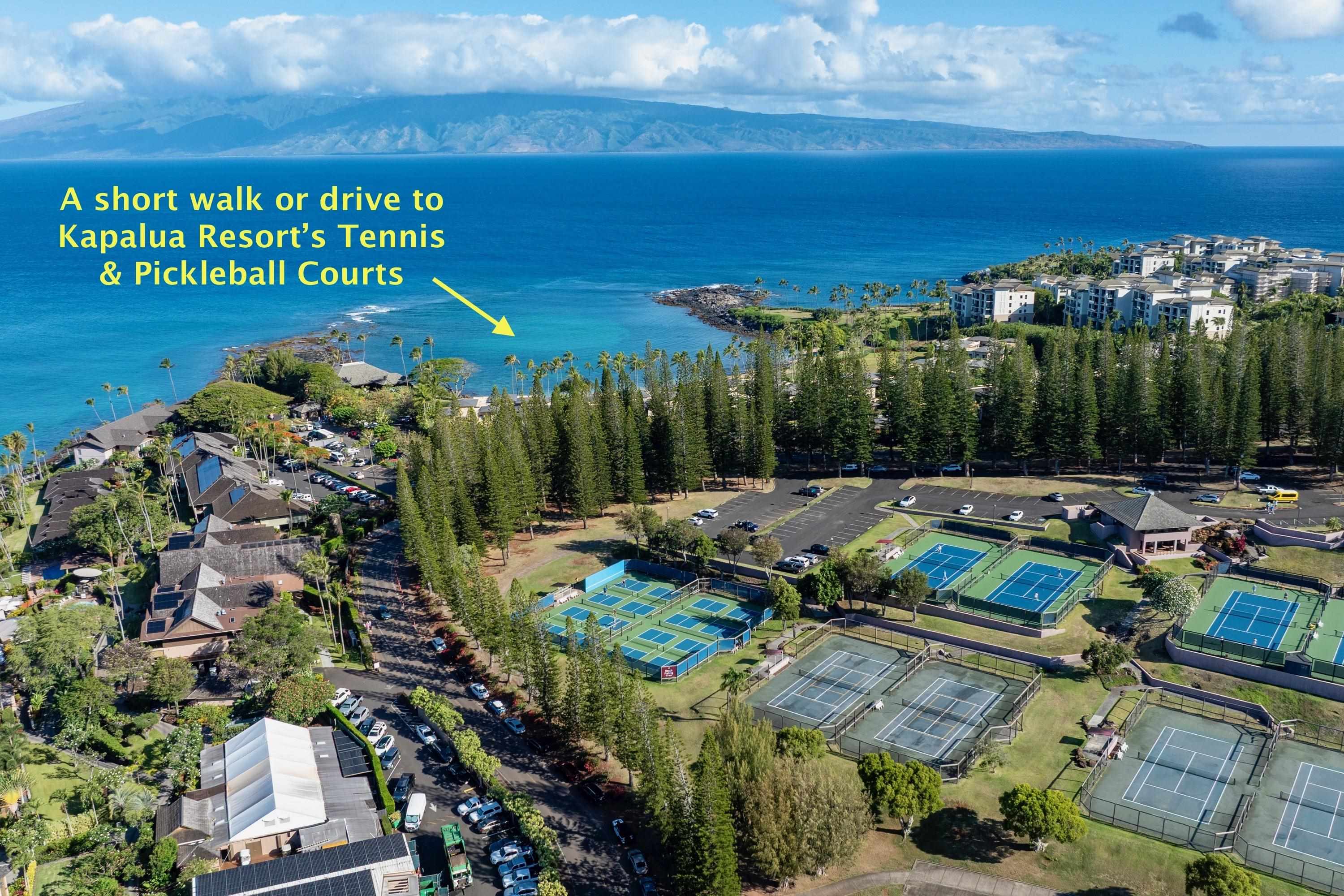 Napili Sunset condo # 206- Keola, Lahaina, Hawaii - photo 45 of 48