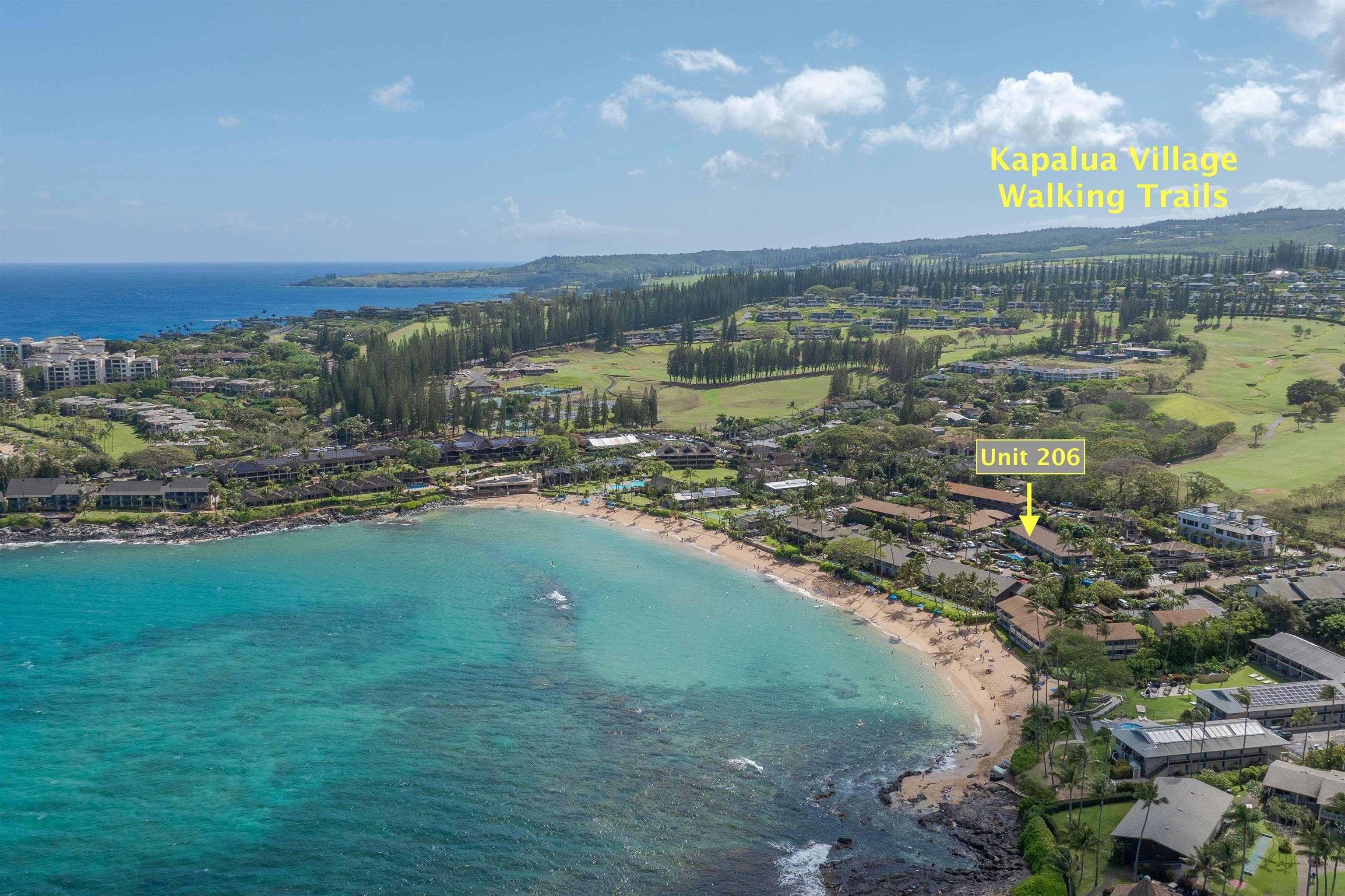 Napili Sunset condo # 206- Keola, Lahaina, Hawaii - photo 46 of 48