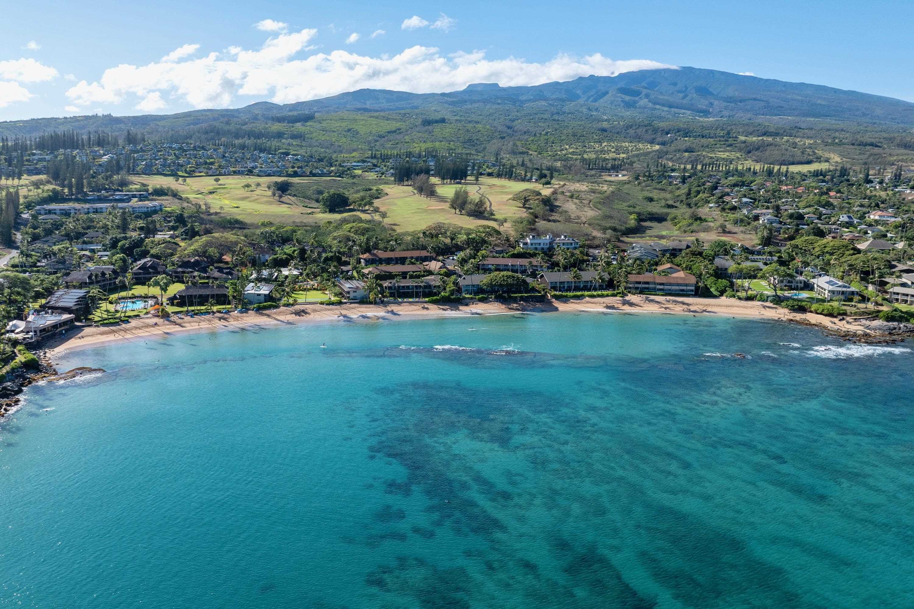 Napili Sunset condo # 206- Keola, Lahaina, Hawaii - photo 48 of 48