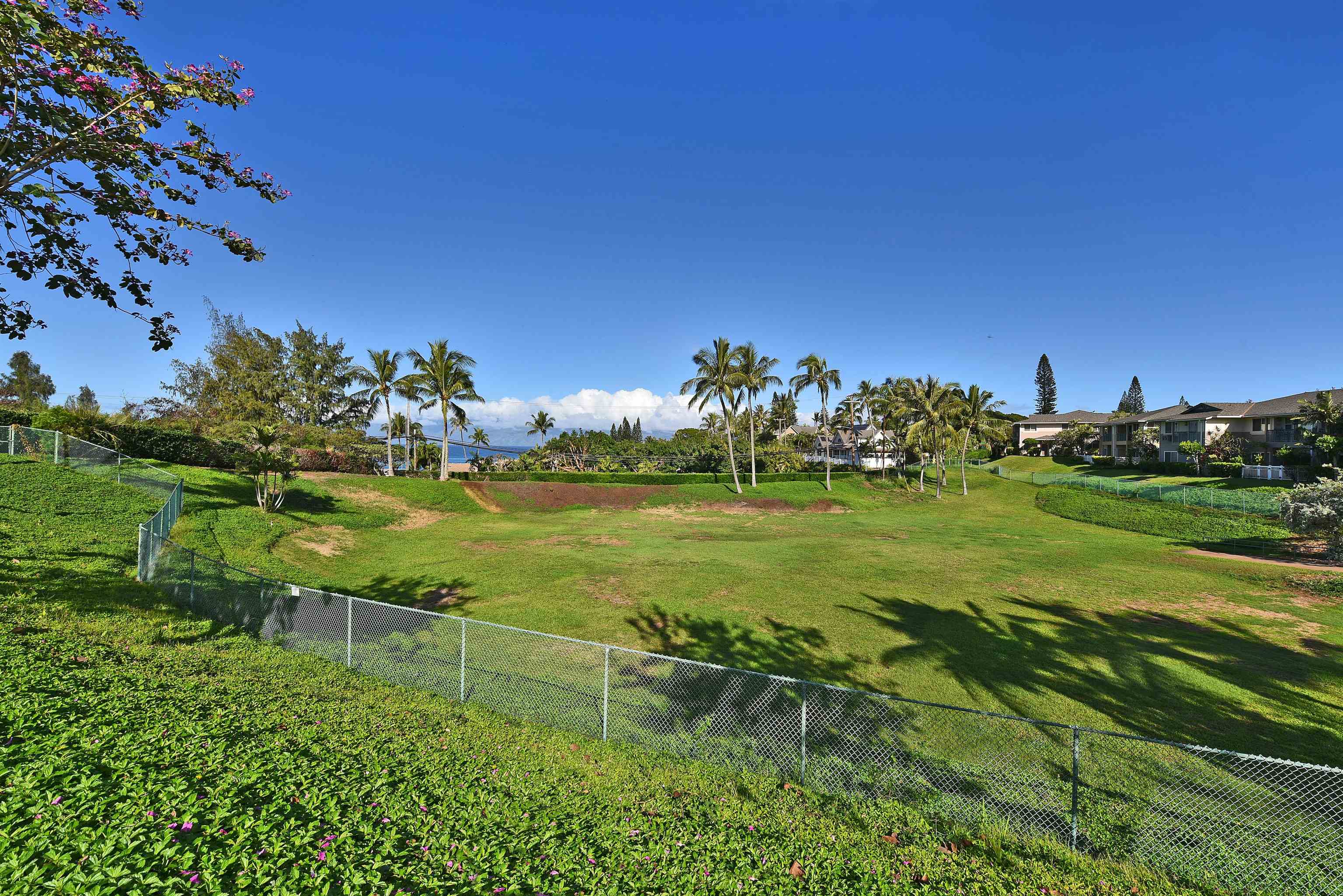 Napili Villas condo # 20-4, Lahaina, Hawaii - photo 13 of 14