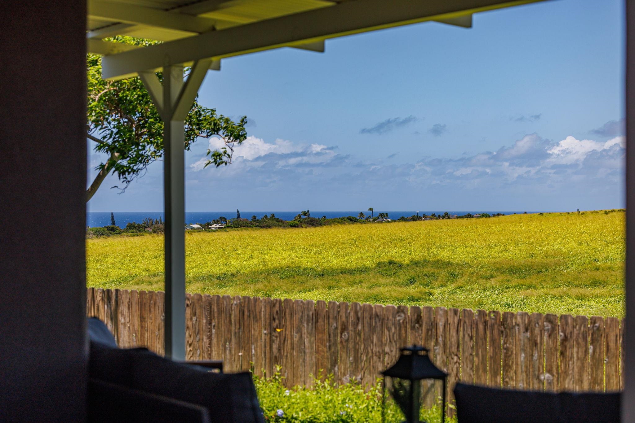 46  Puakou Pl Upper Paia, Spreckelsville/Paia/Kuau home - photo 44 of 50