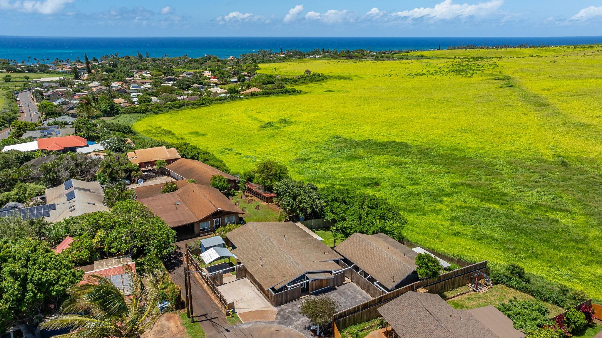 46  Puakou Pl Upper Paia, Spreckelsville/Paia/Kuau home - photo 45 of 50
