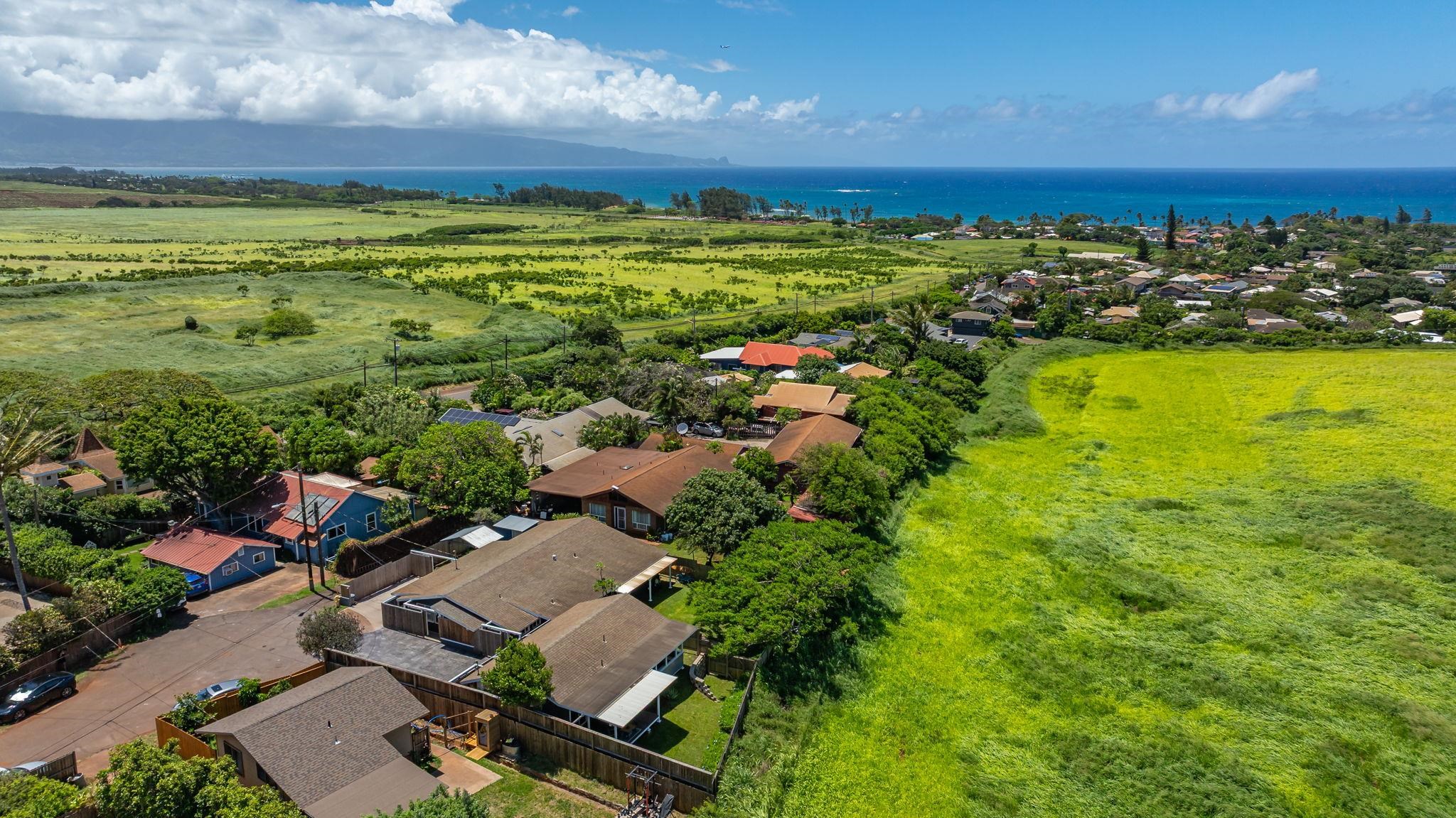 46  Puakou Pl Upper Paia, Spreckelsville/Paia/Kuau home - photo 46 of 50