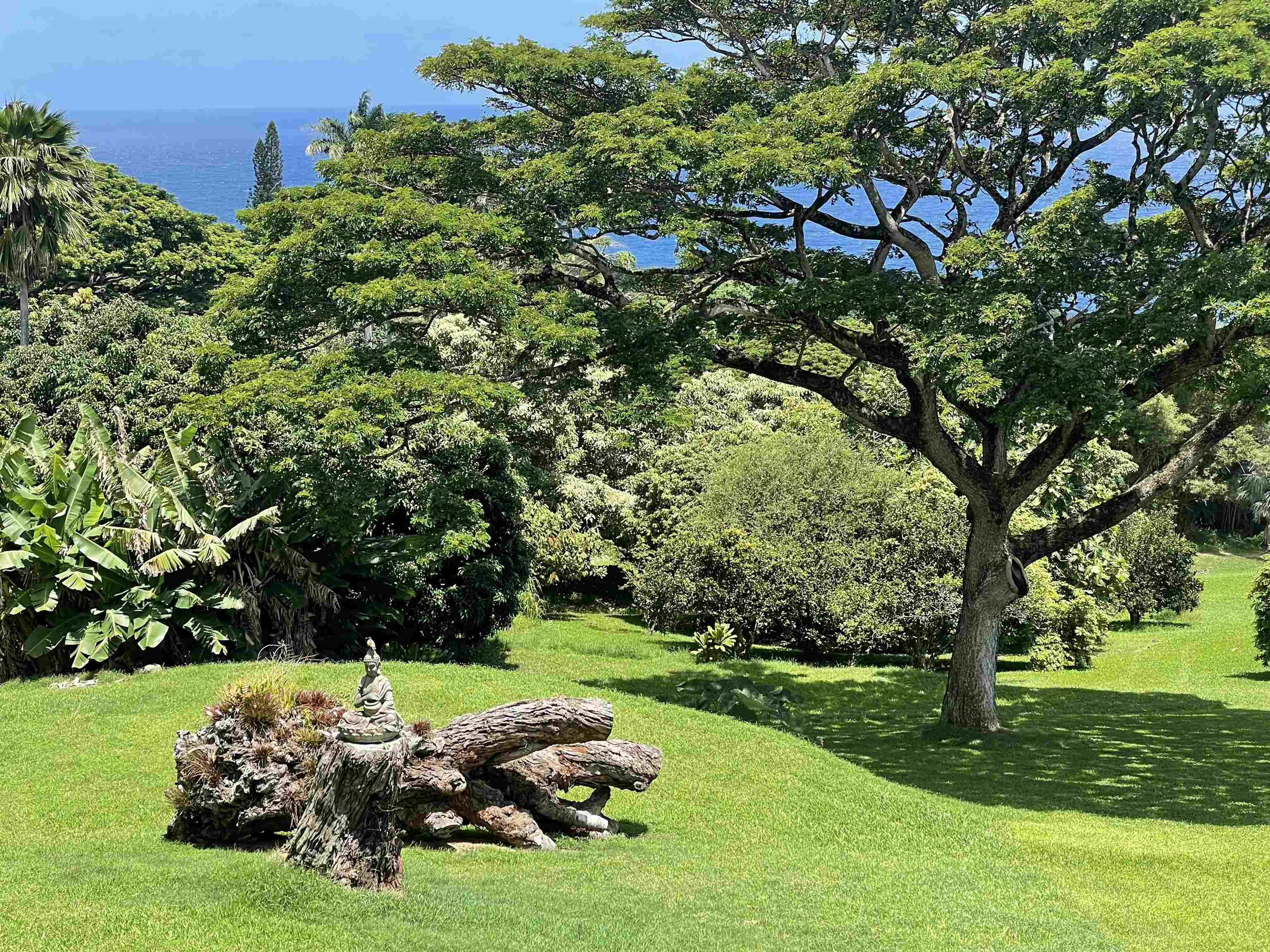 46070  Hana Hwy Mu'olea~koali, Hana home - photo 26 of 30