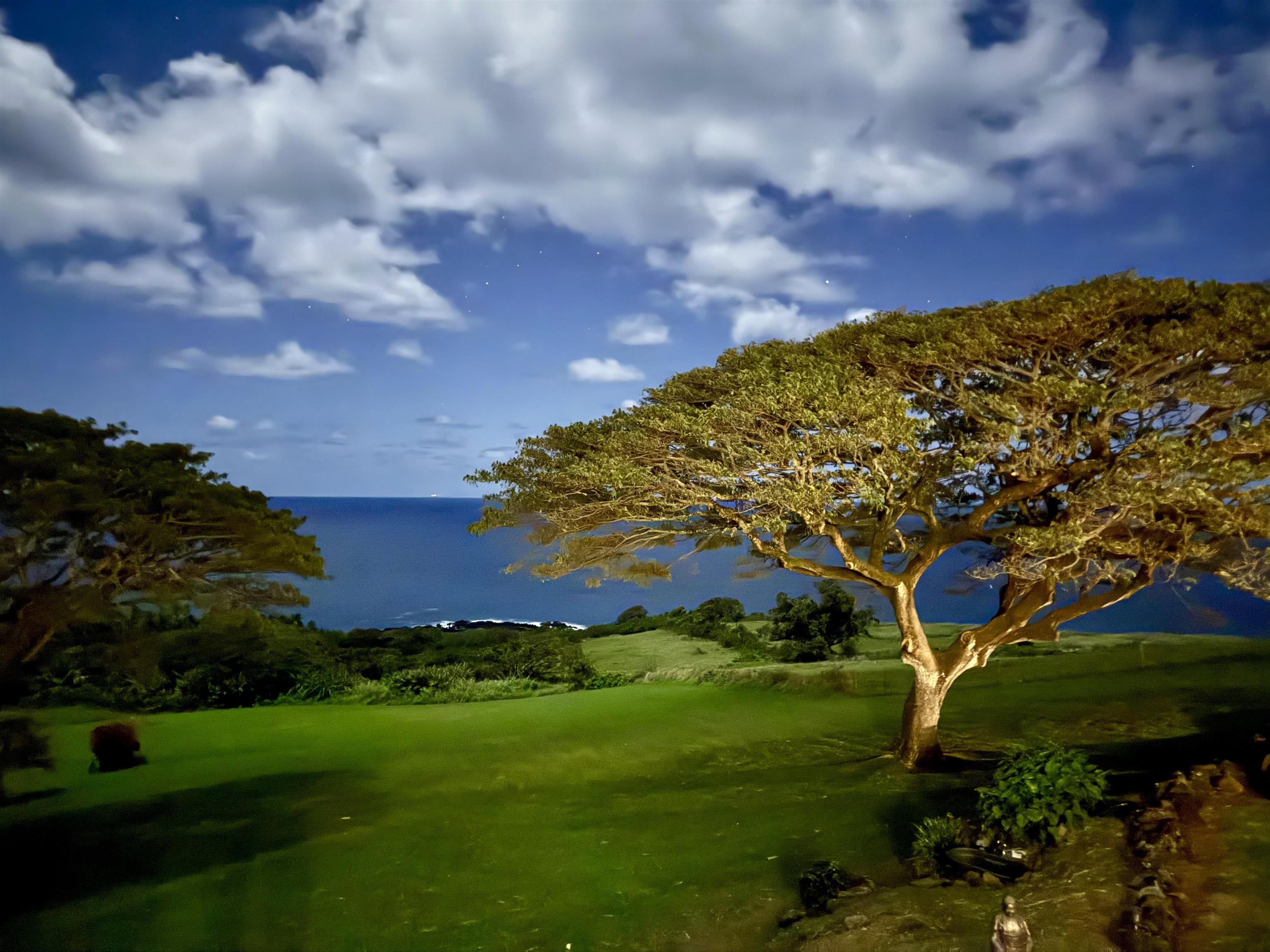 46070  Hana Hwy Mu'olea~koali, Hana home - photo 40 of 42