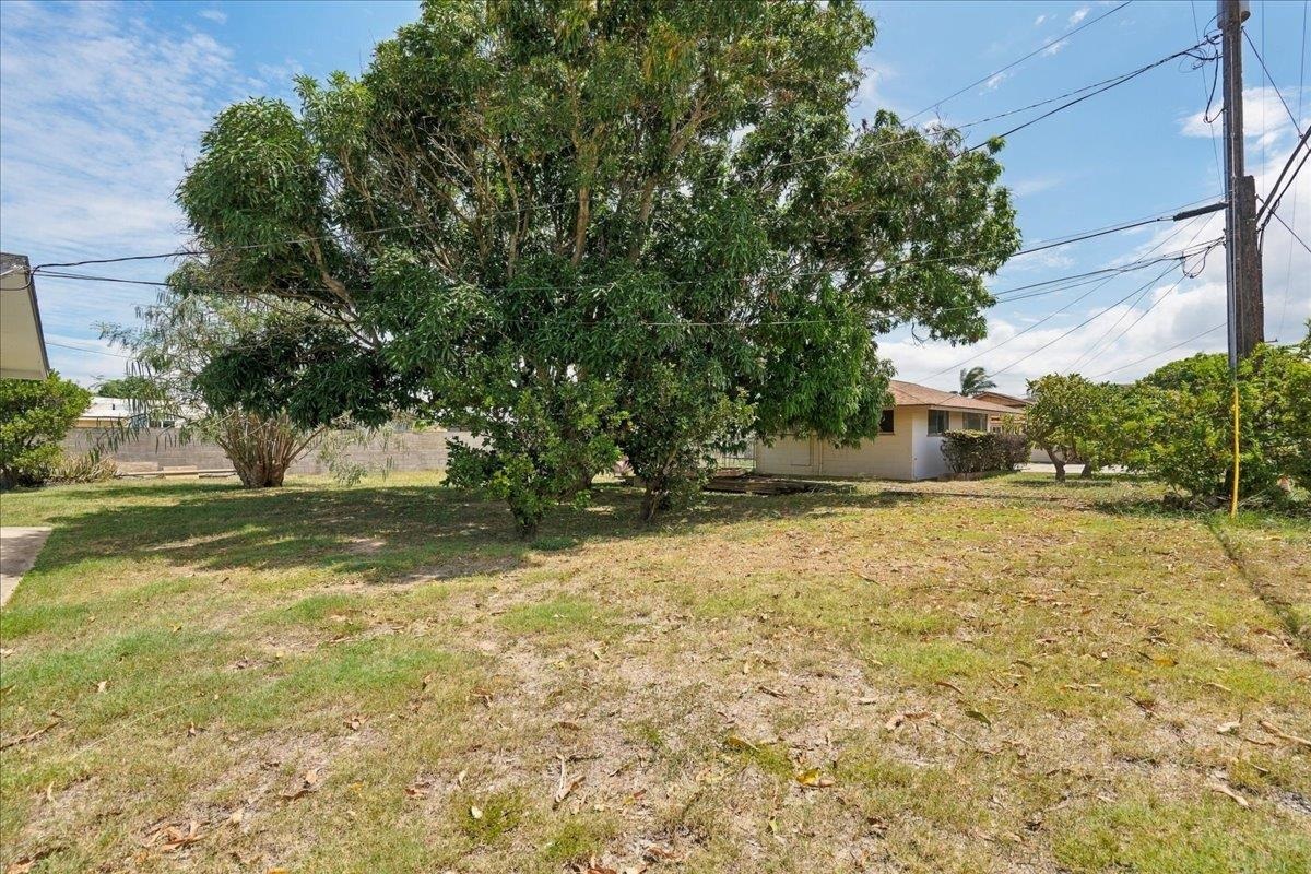 461  Lono Ave , Kahului home - photo 19 of 21