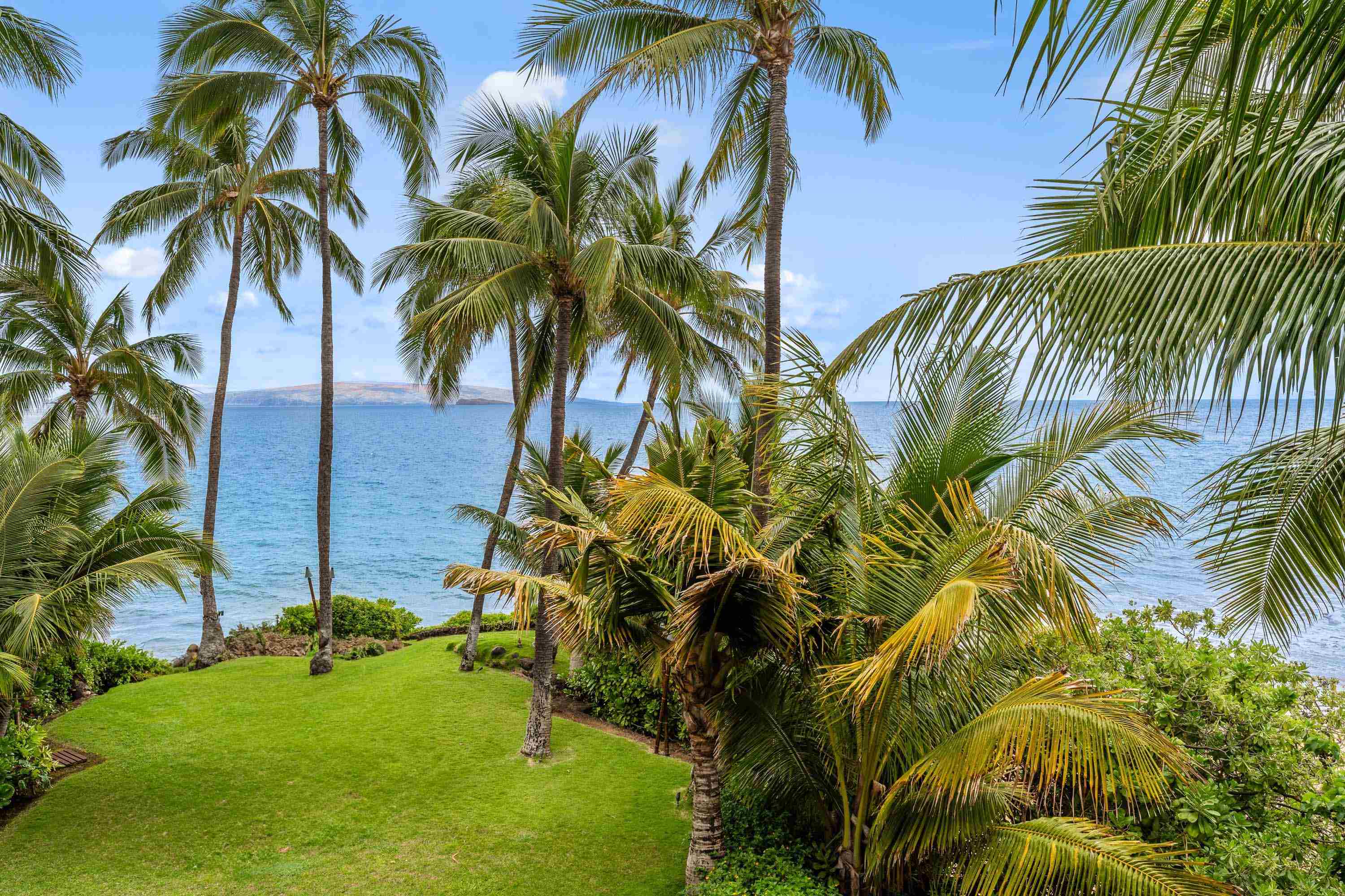 4610  Makena Rd Makena, Wailea/Makena home - photo 19 of 49