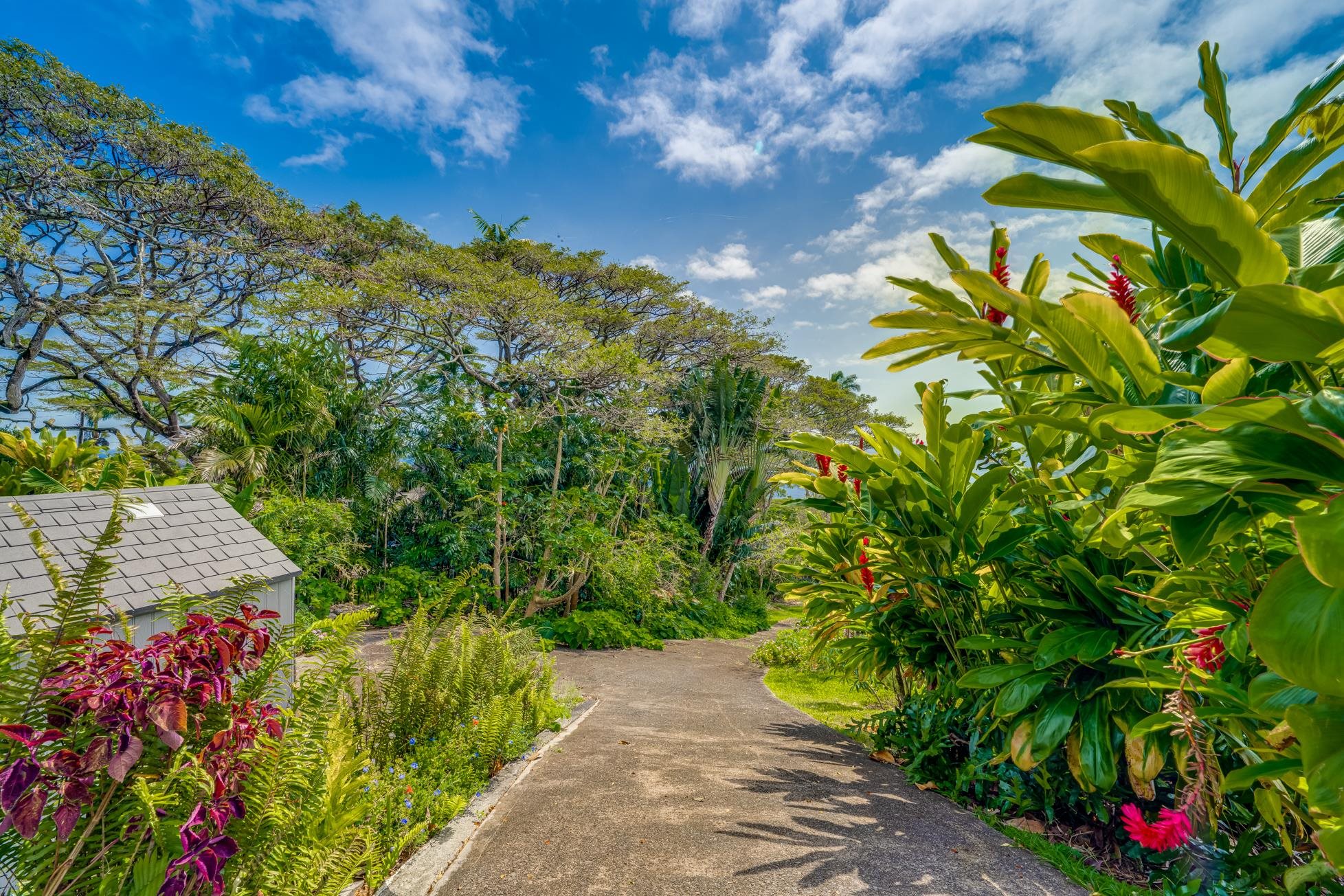46142  Hana Hwy Hwy Mu'olea, Hana home - photo 29 of 43