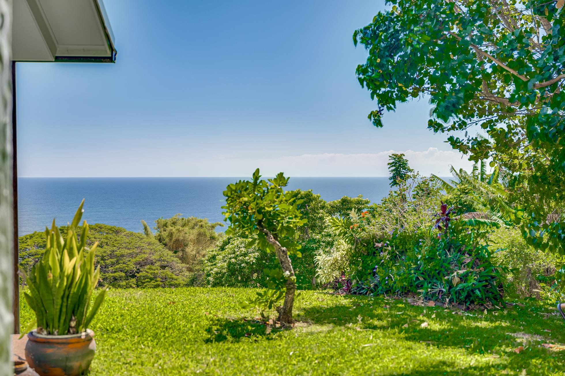 46142  Hana Hwy Hwy Mu'olea, Hana home - photo 36 of 43