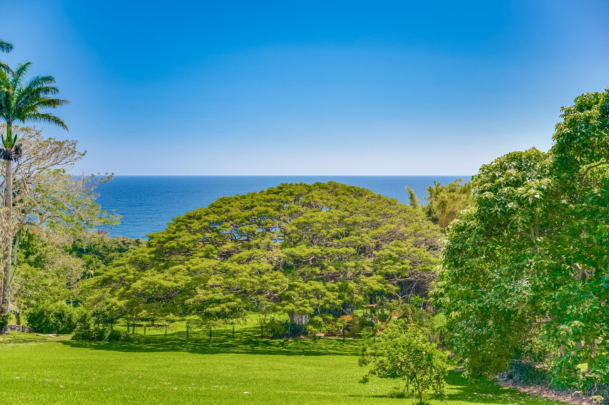 46142  Hana Hwy Hwy Mu'olea, Hana home - photo 38 of 44