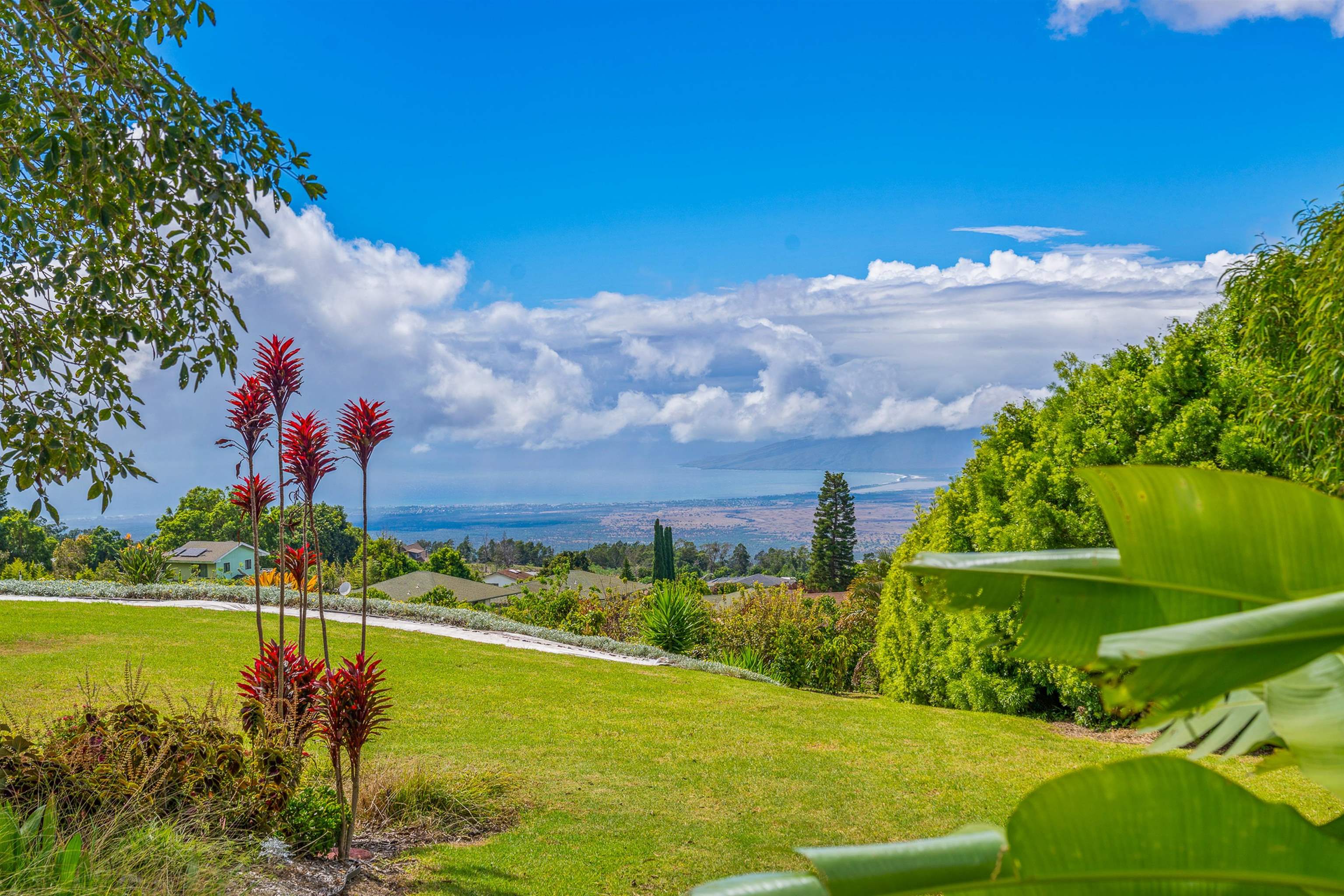 462  Ainakula Rd , Kula/Ulupalakua/Kanaio home - photo 31 of 34