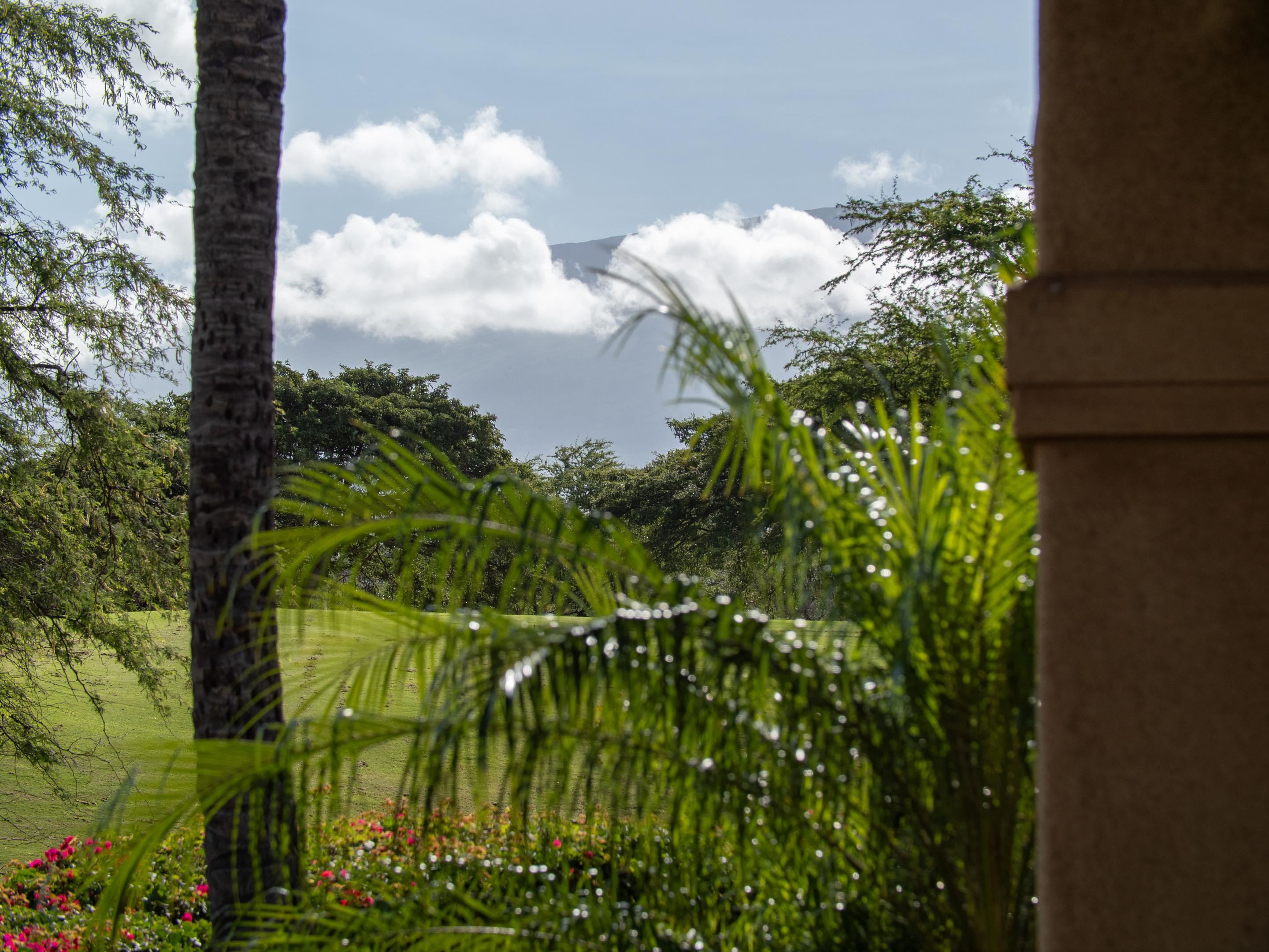 Hokulani Golf Villas condo # 46, Kihei, Hawaii - photo 32 of 32