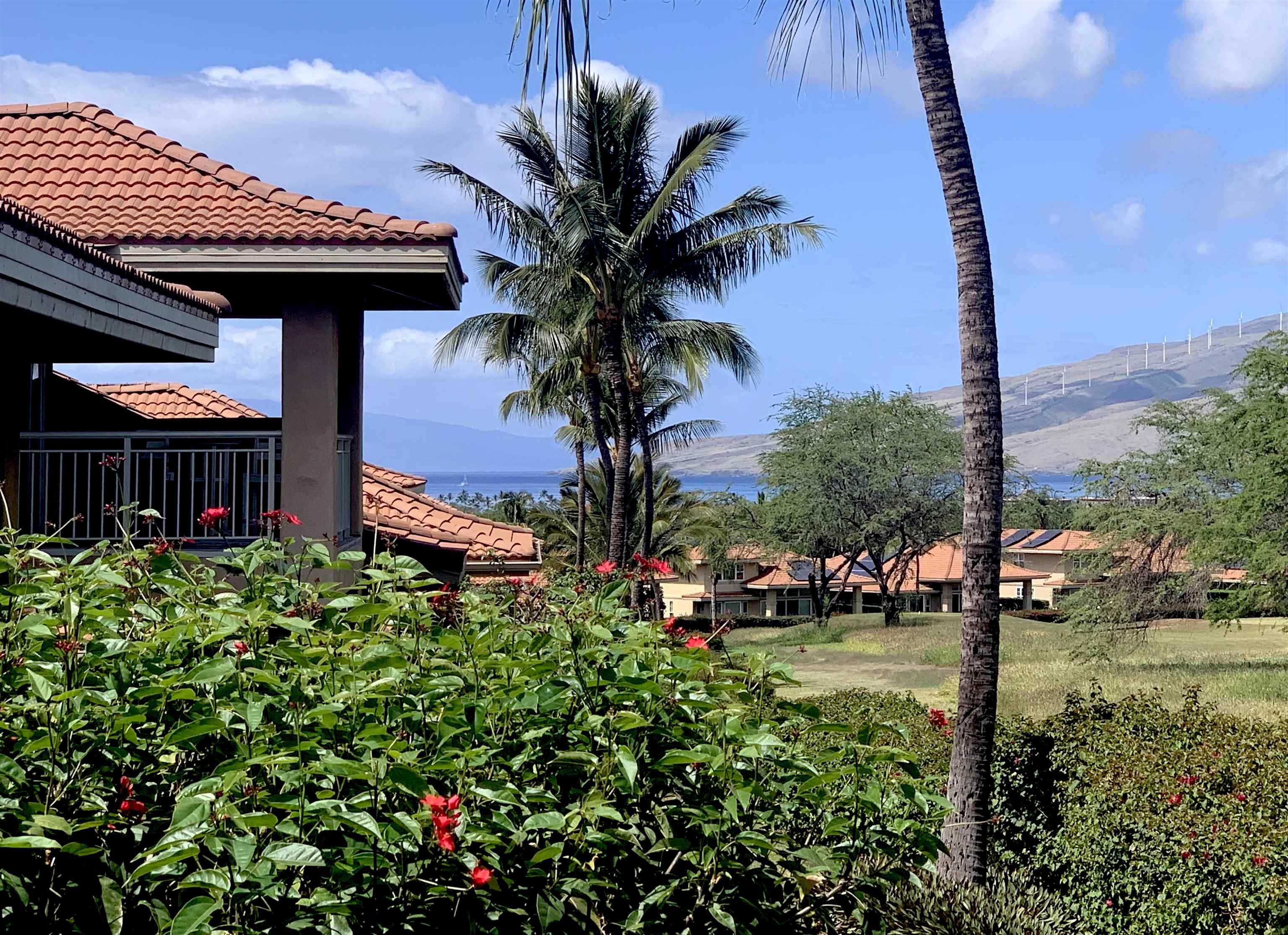 Hokulani Golf Villas condo # 46, Kihei, Hawaii - photo 5 of 32
