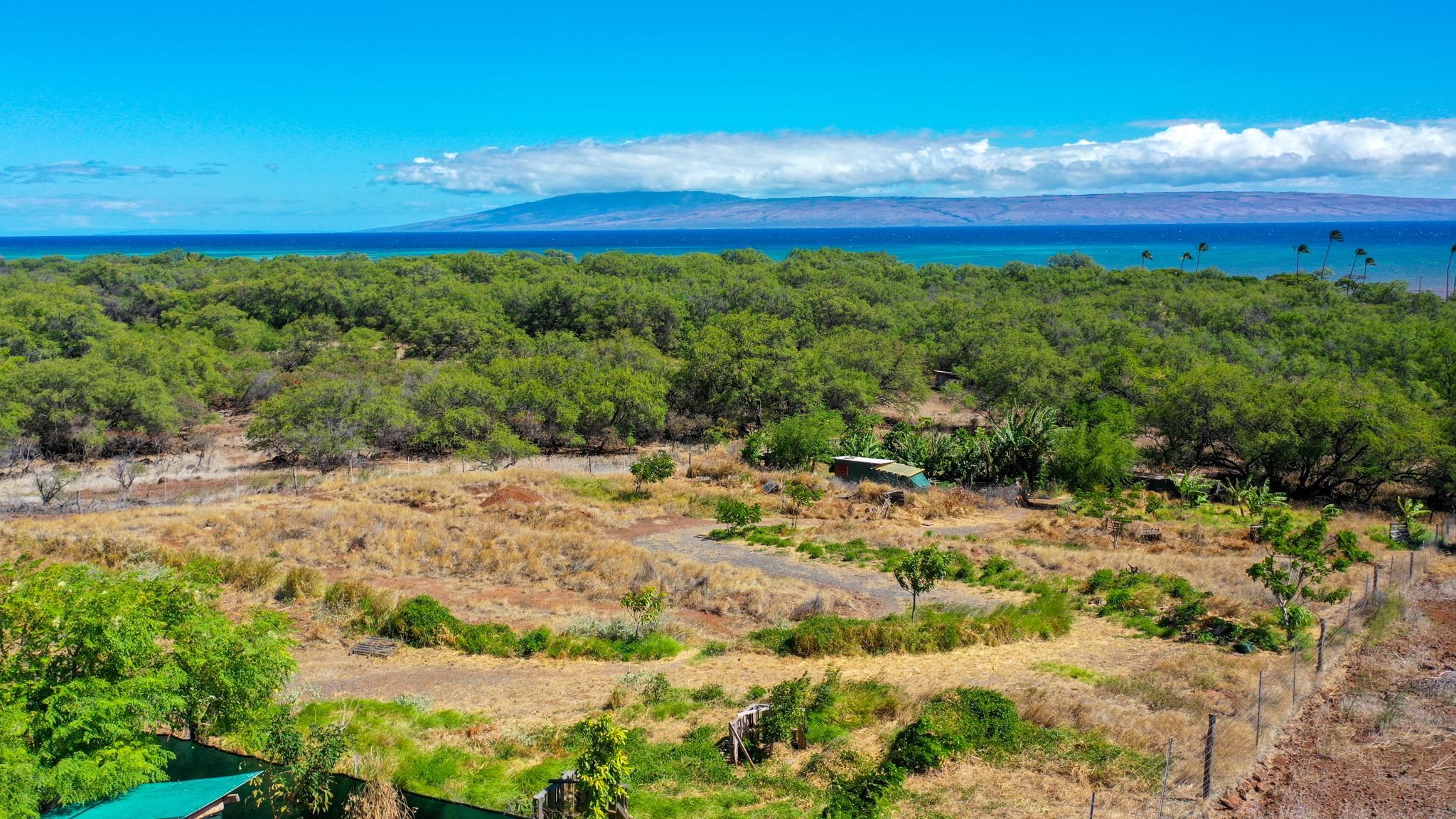 464  Onioni Dr , Molokai home - photo 33 of 36