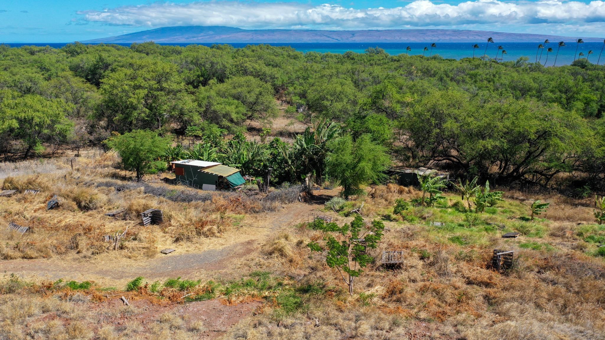 464  Onioni Dr , Molokai home - photo 34 of 36