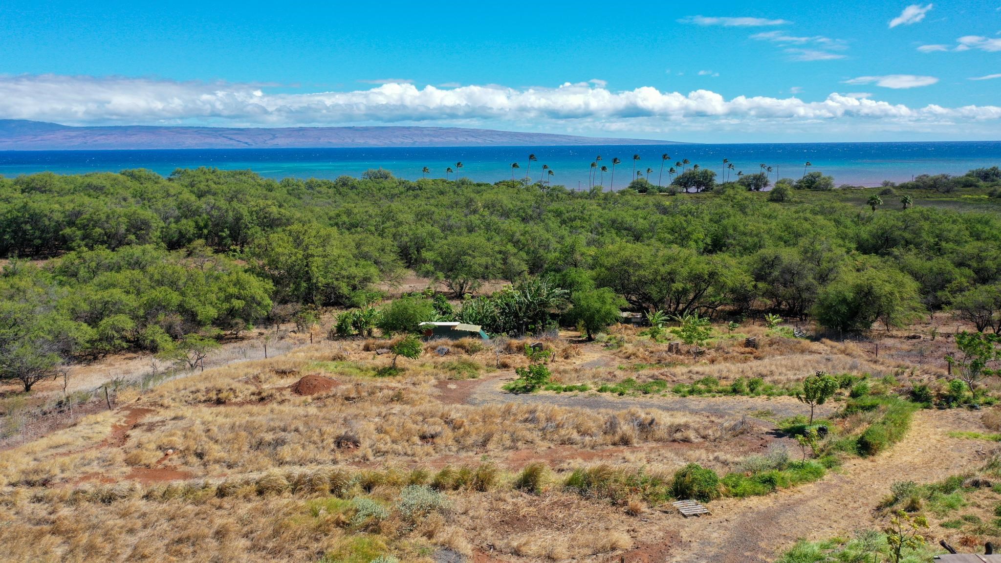 464  Onioni Dr , Molokai home - photo 35 of 36