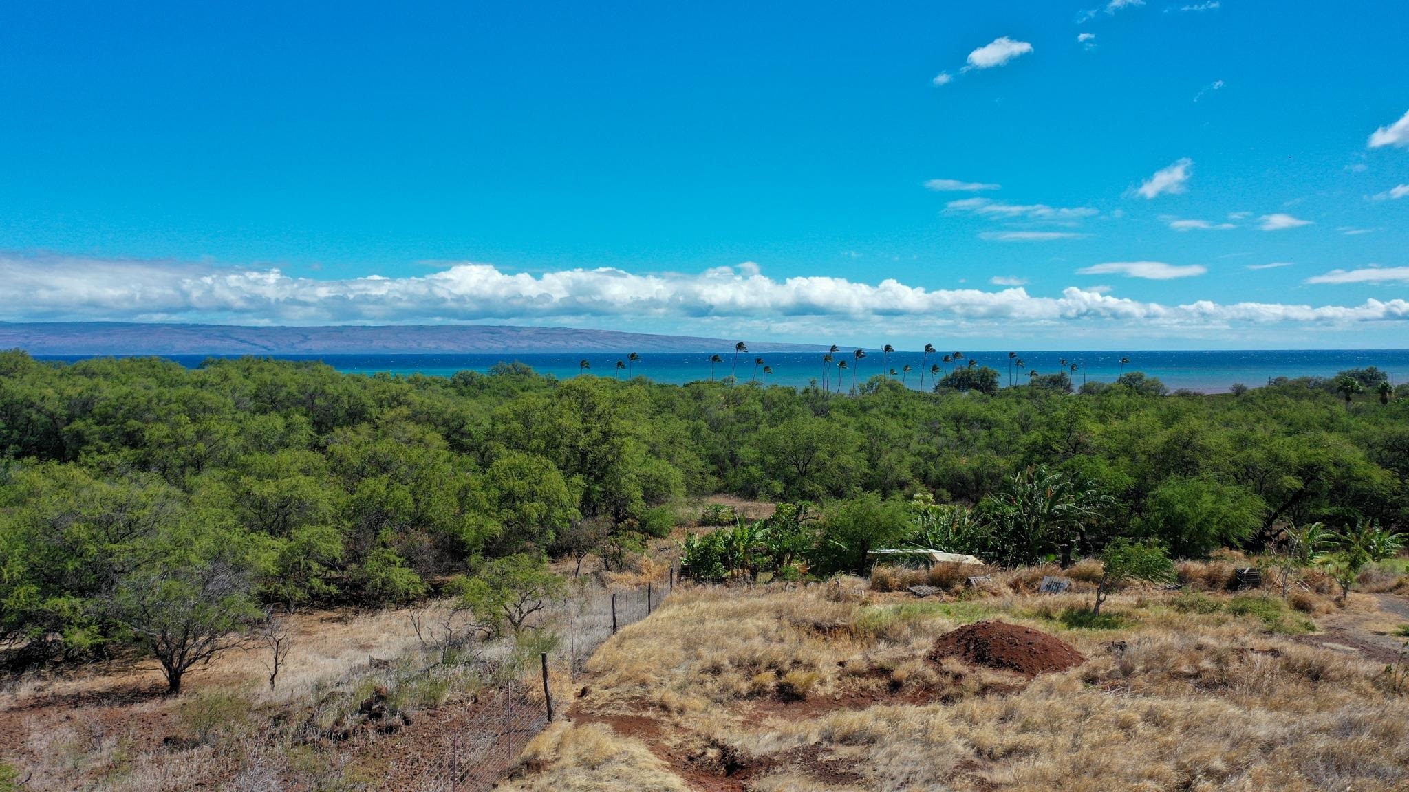 464  Onioni Dr , Molokai home - photo 36 of 36