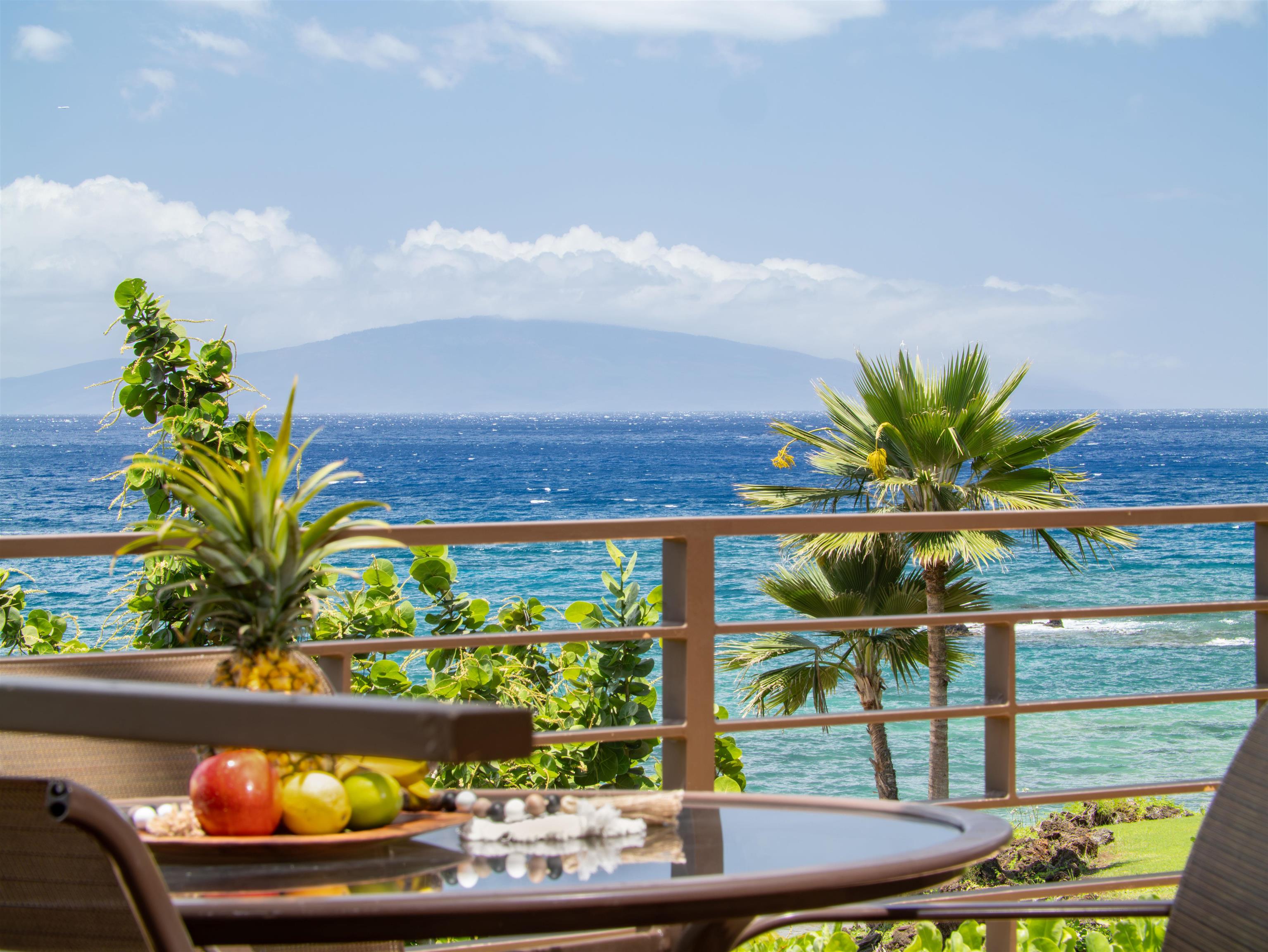 4640 & 4650  Makena Rd Chang's Beach, Wailea/Makena home - photo 31 of 49