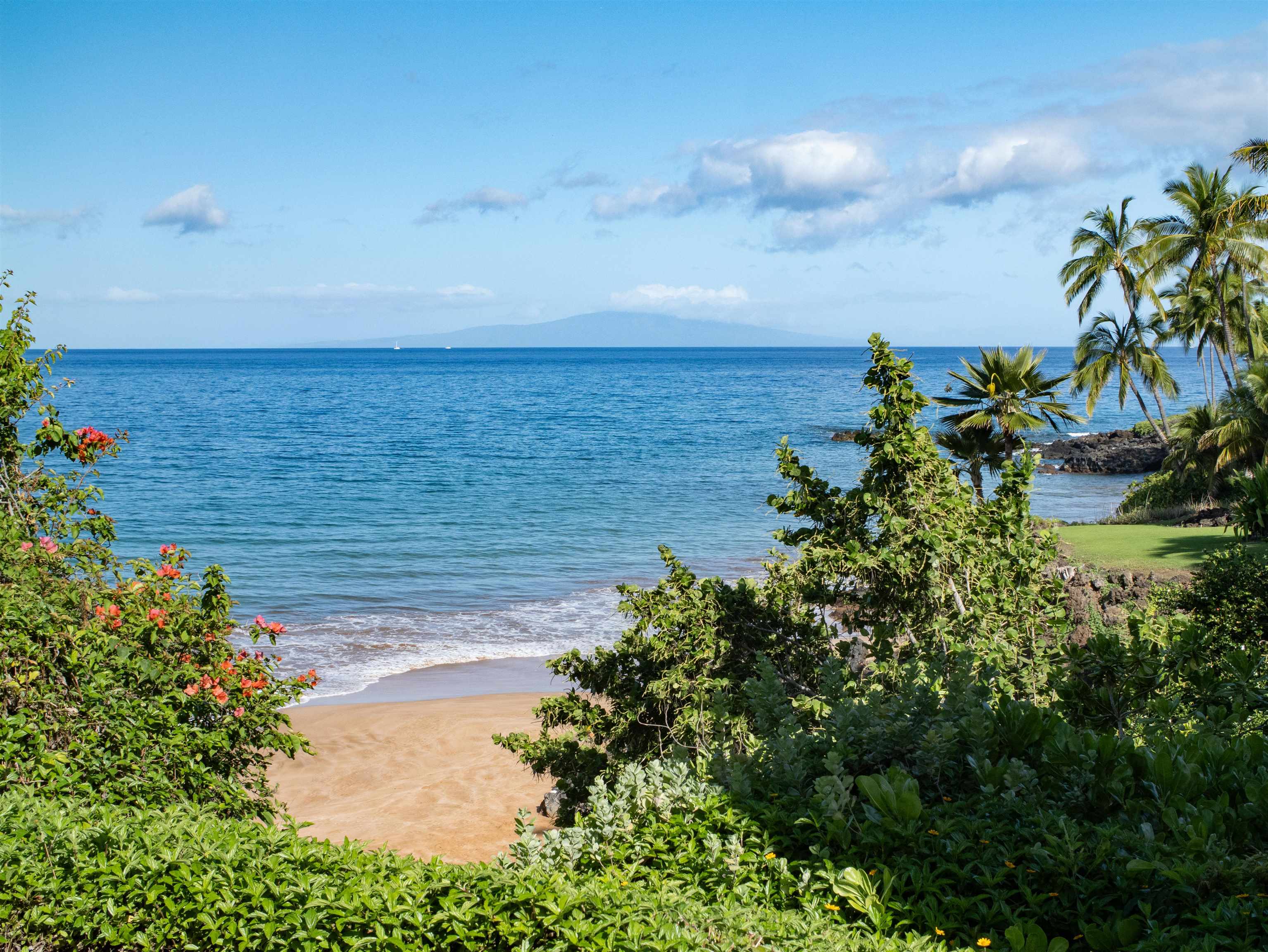 4640 & 4650  Makena Rd Chang's Beach, Wailea/Makena home - photo 34 of 49