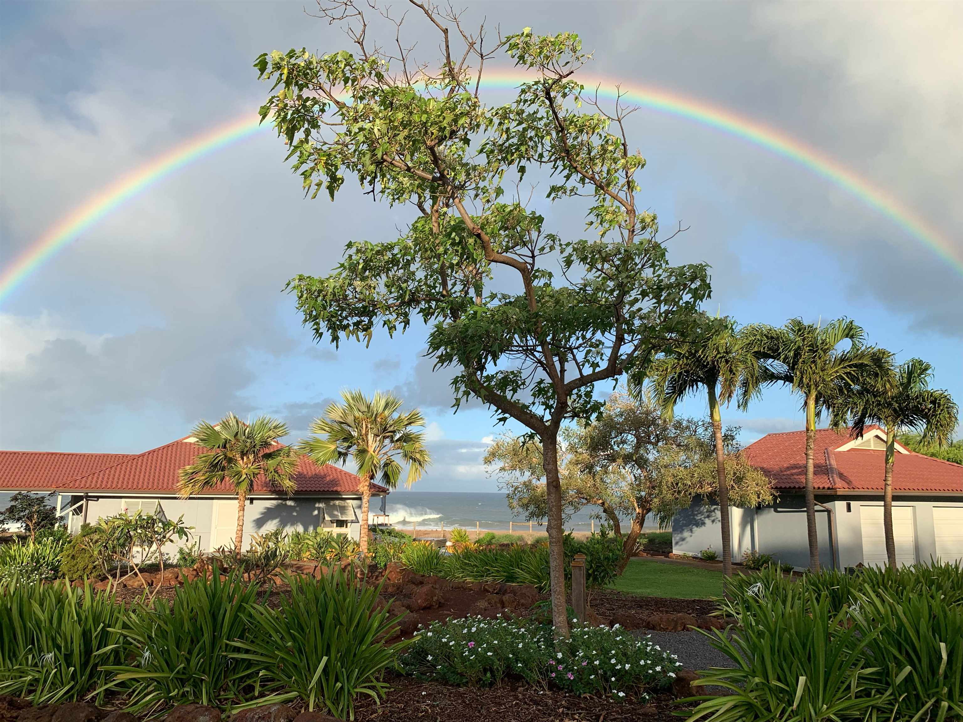 4670  Pohakuloa Rd , Molokai home - photo 2 of 45