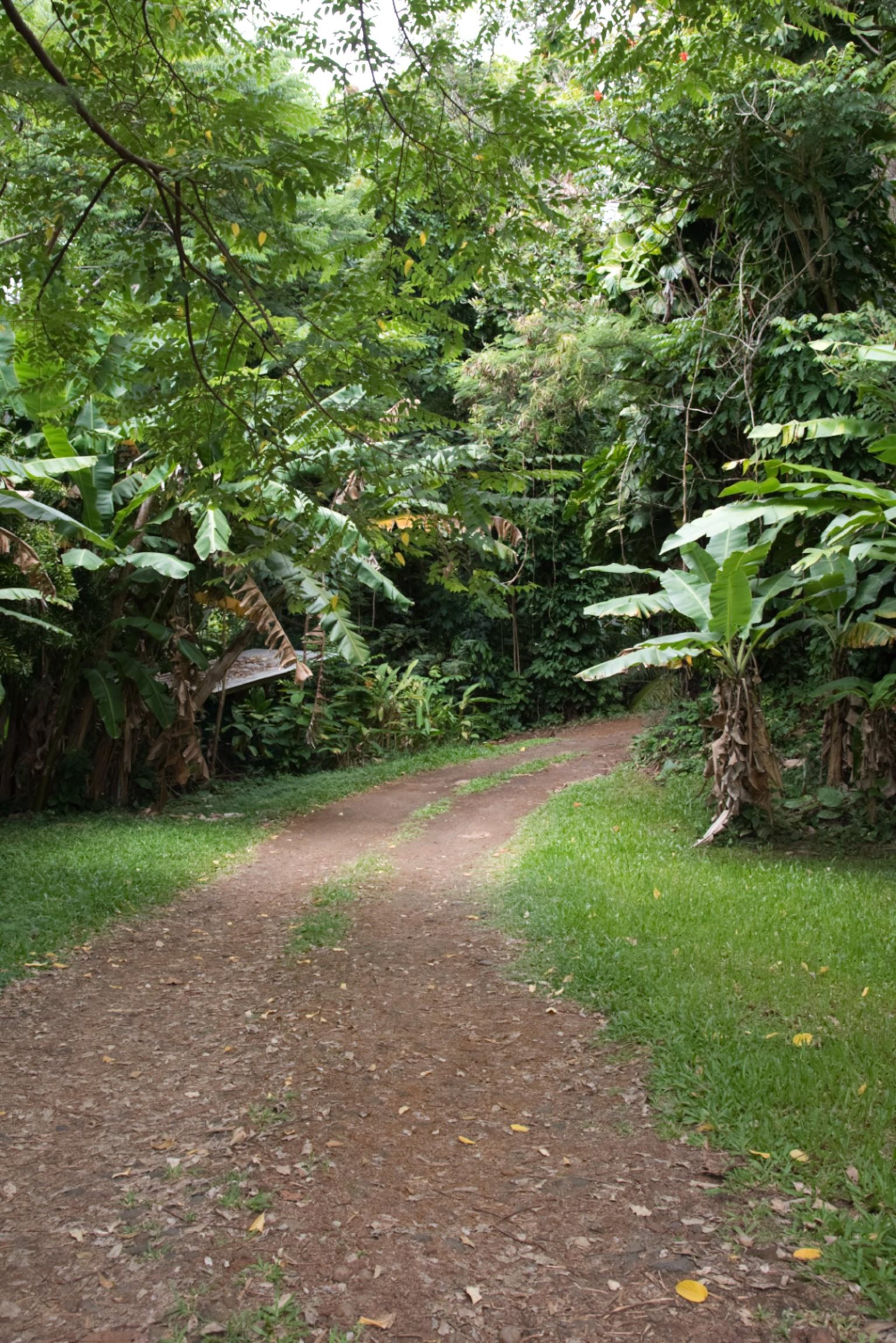 4685  Uakea Rd , Hana home - photo 25 of 48