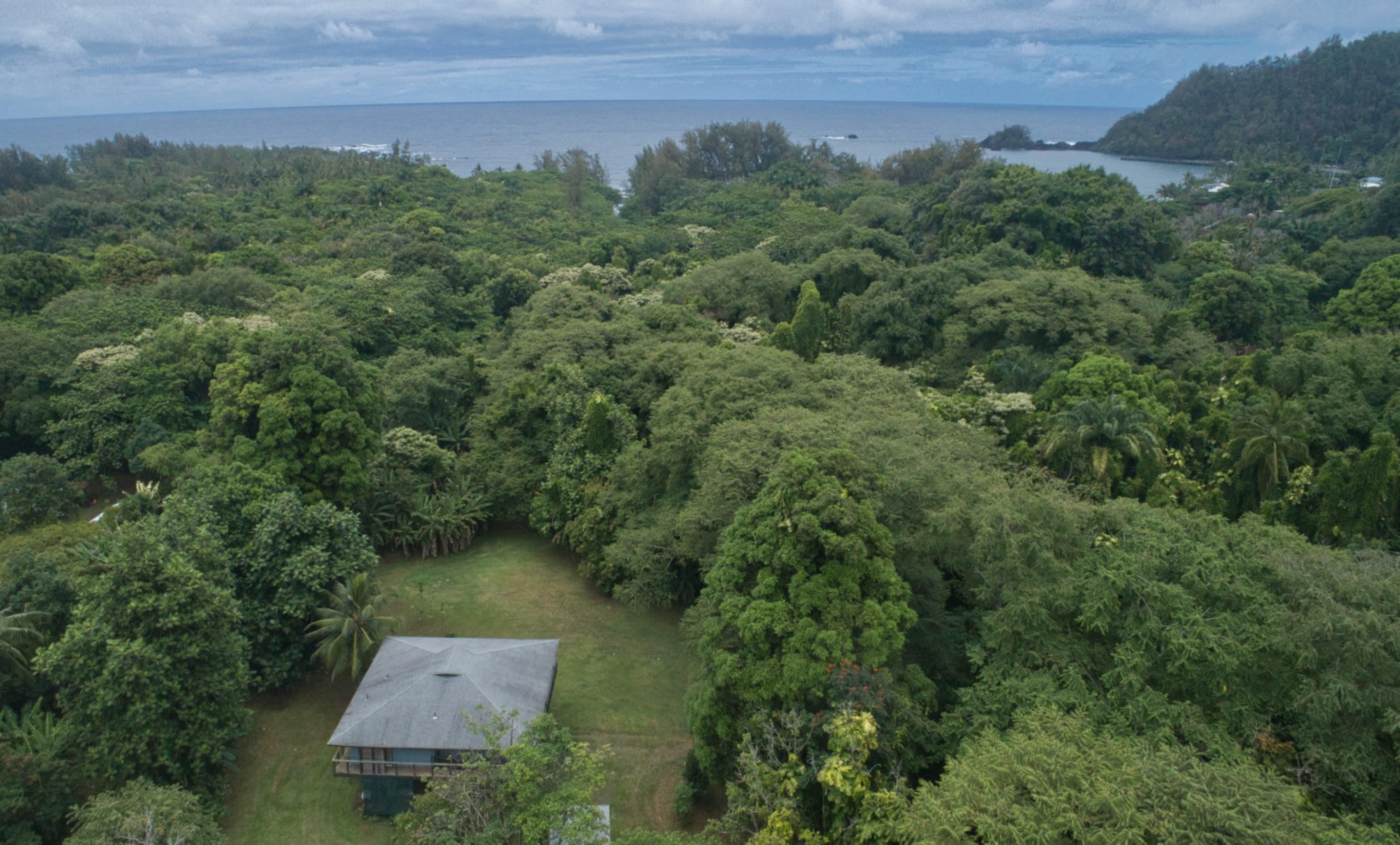 4685  Uakea Rd , Hana home - photo 4 of 48