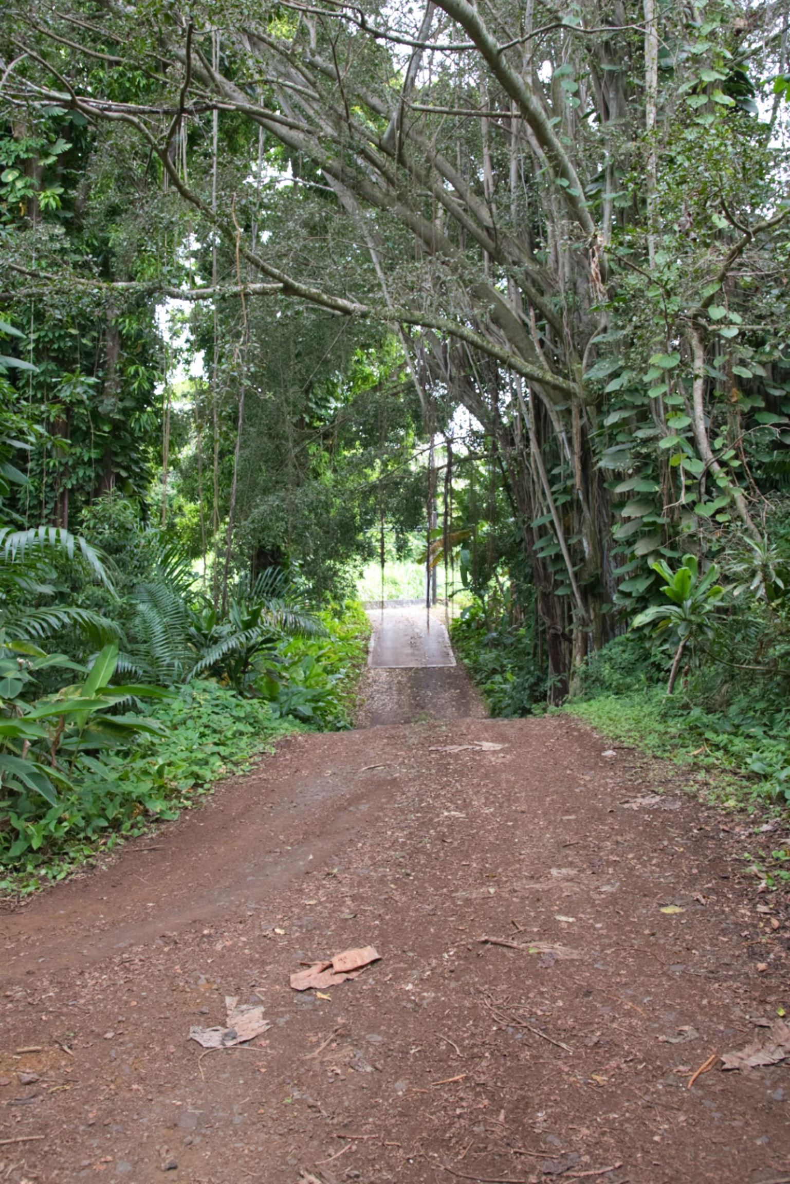 4685  Uakea Rd , Hana home - photo 48 of 48