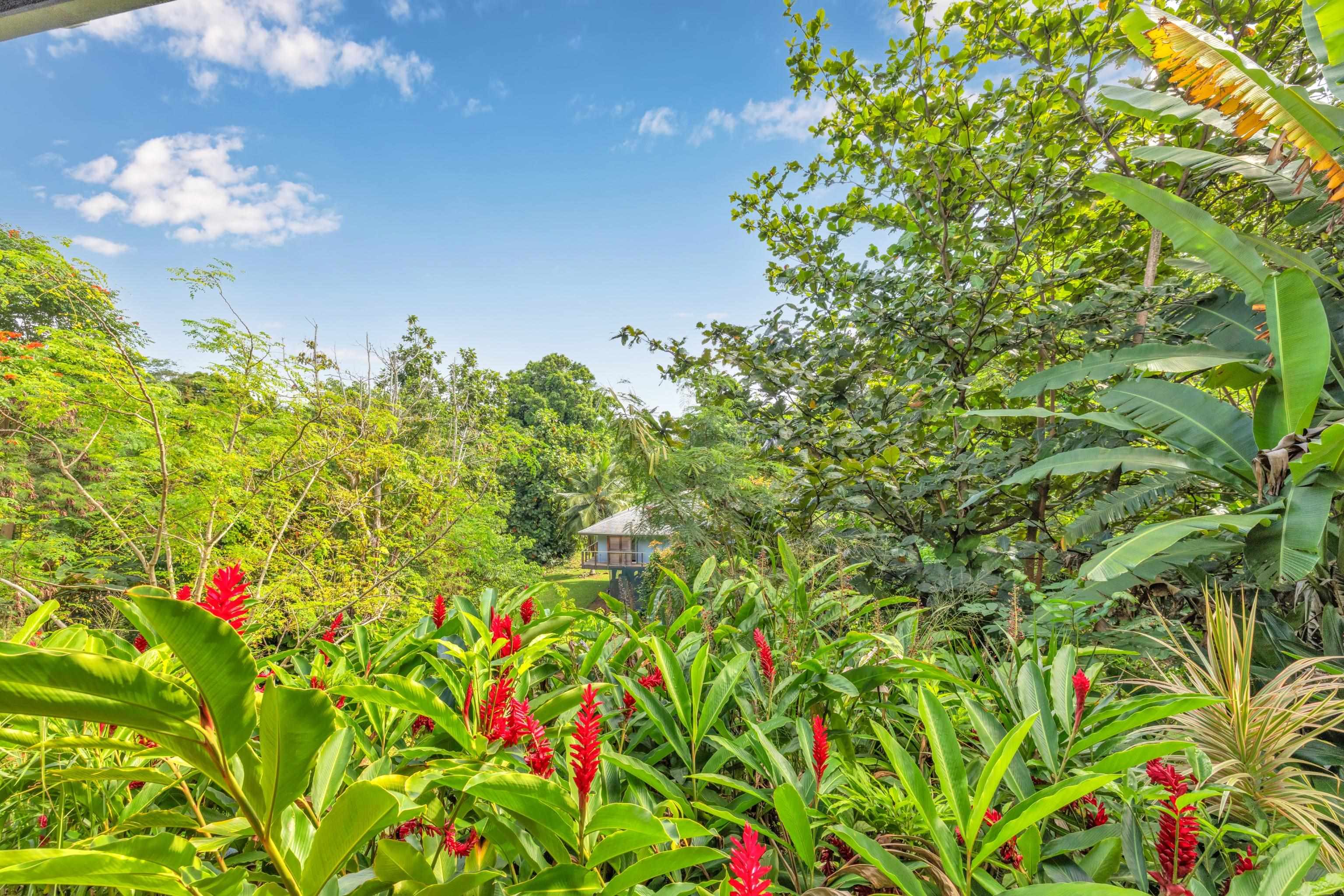 4685  Uakea Rd , Hana home - photo 32 of 50